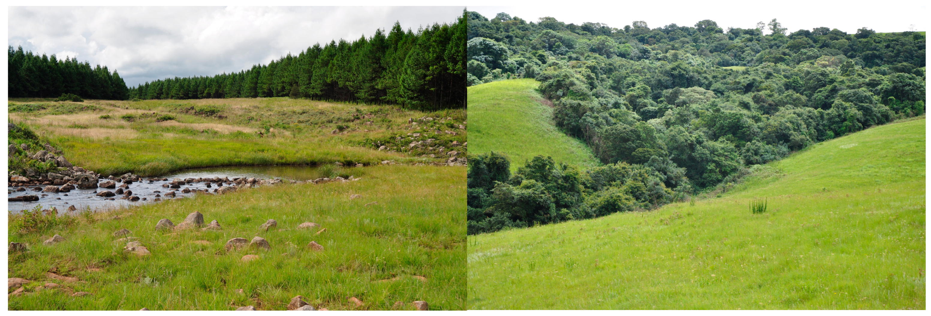 Agronomy 16 00057 g006