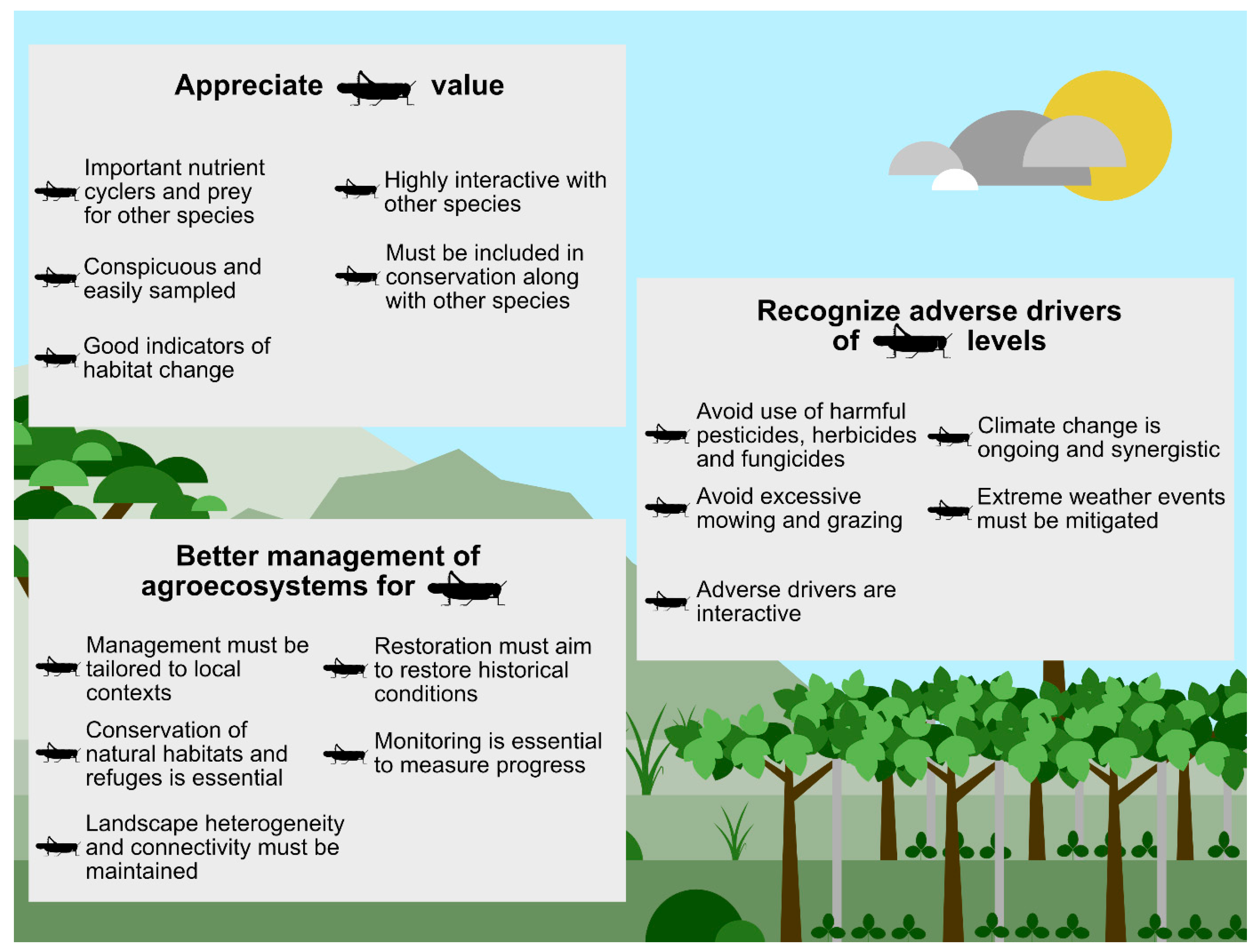Agronomy 16 00057 g007