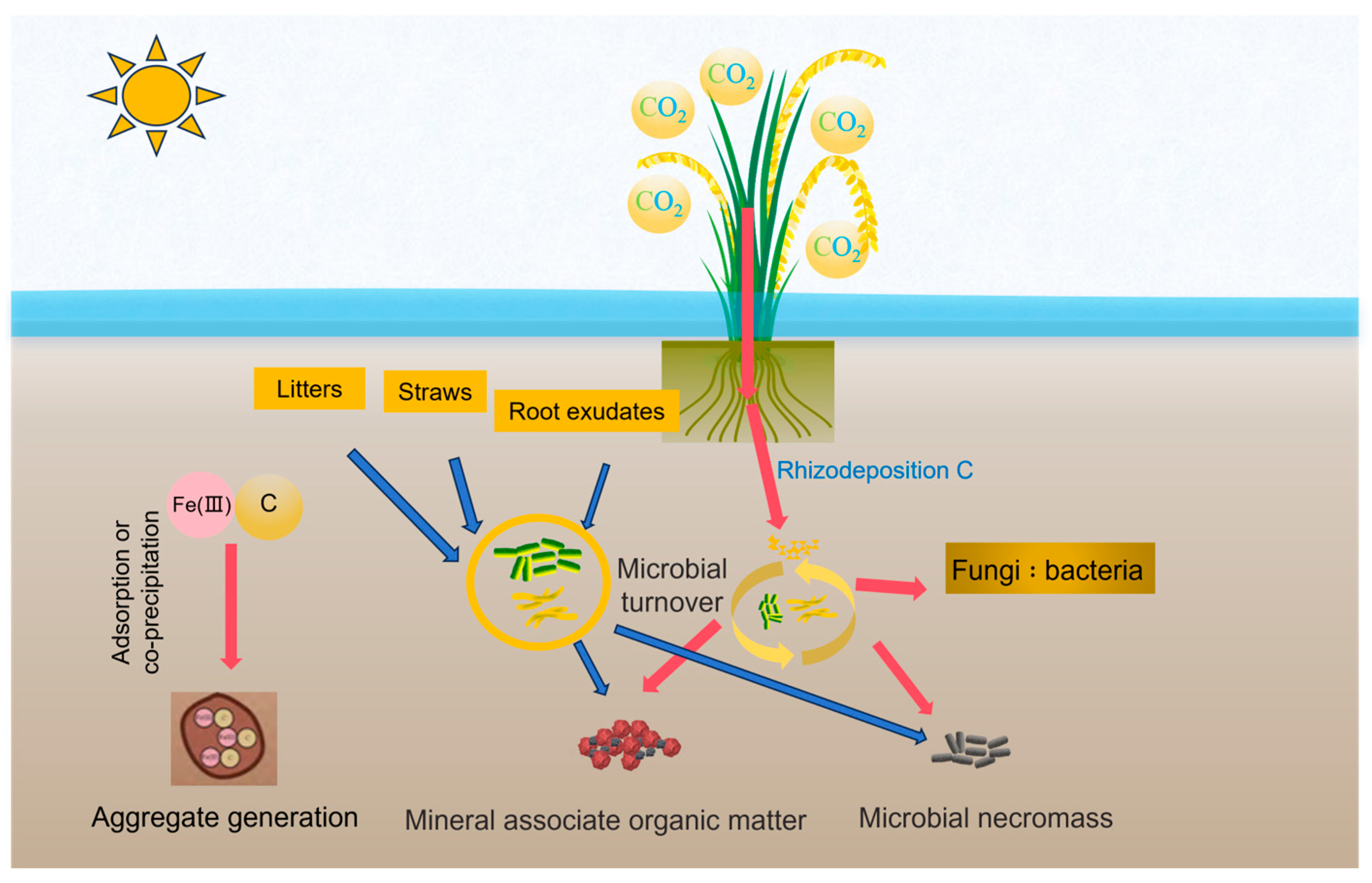 Agronomy 16 00063 g002 Agronomy 16 00063 g002