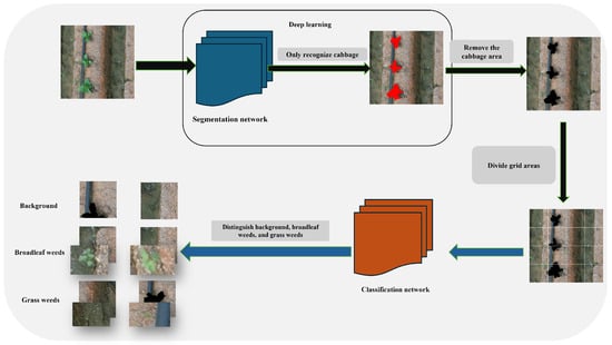 Agronomy 16 00093 g001