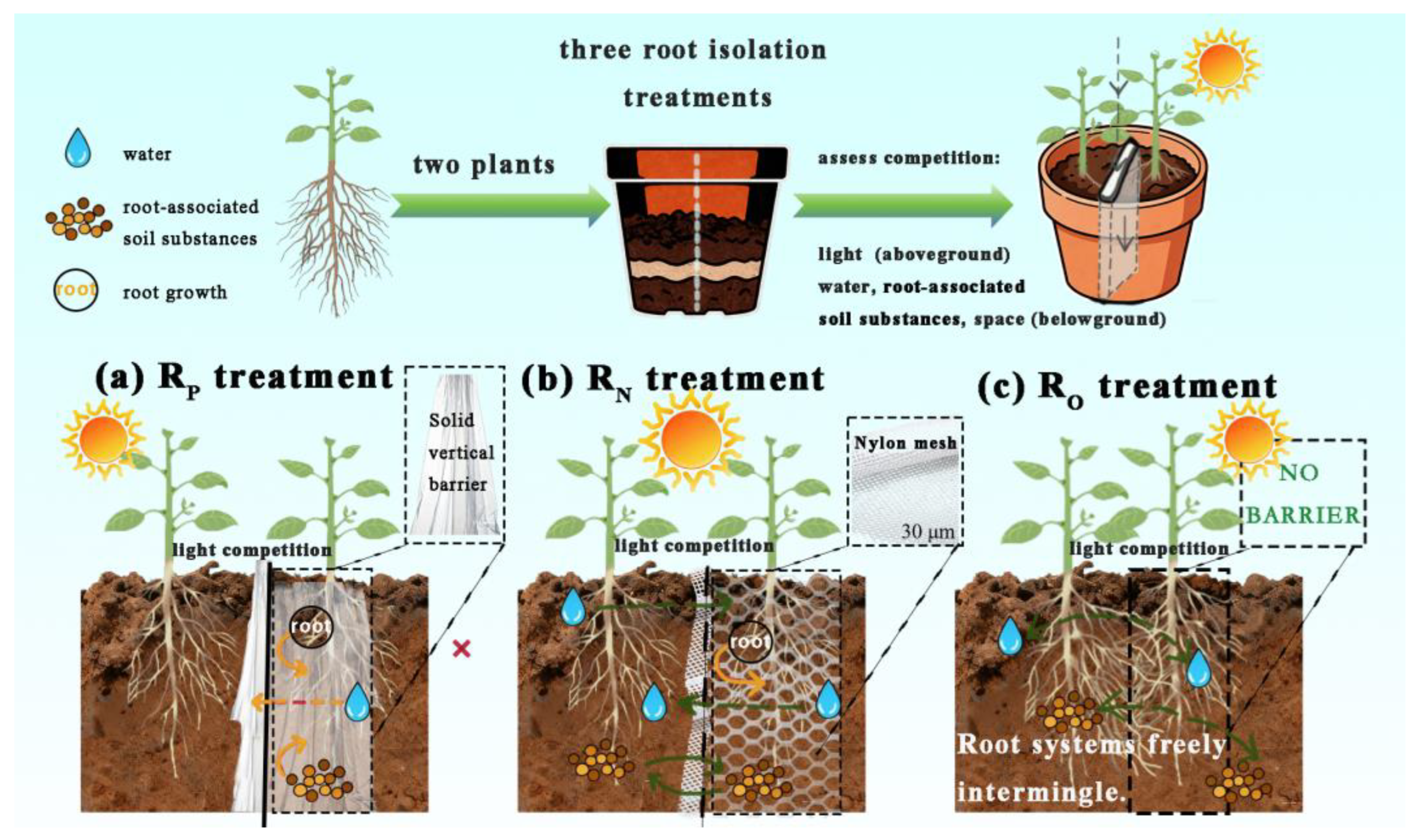 Agronomy 16 00119 g001 Agronomy 16 00119 g001