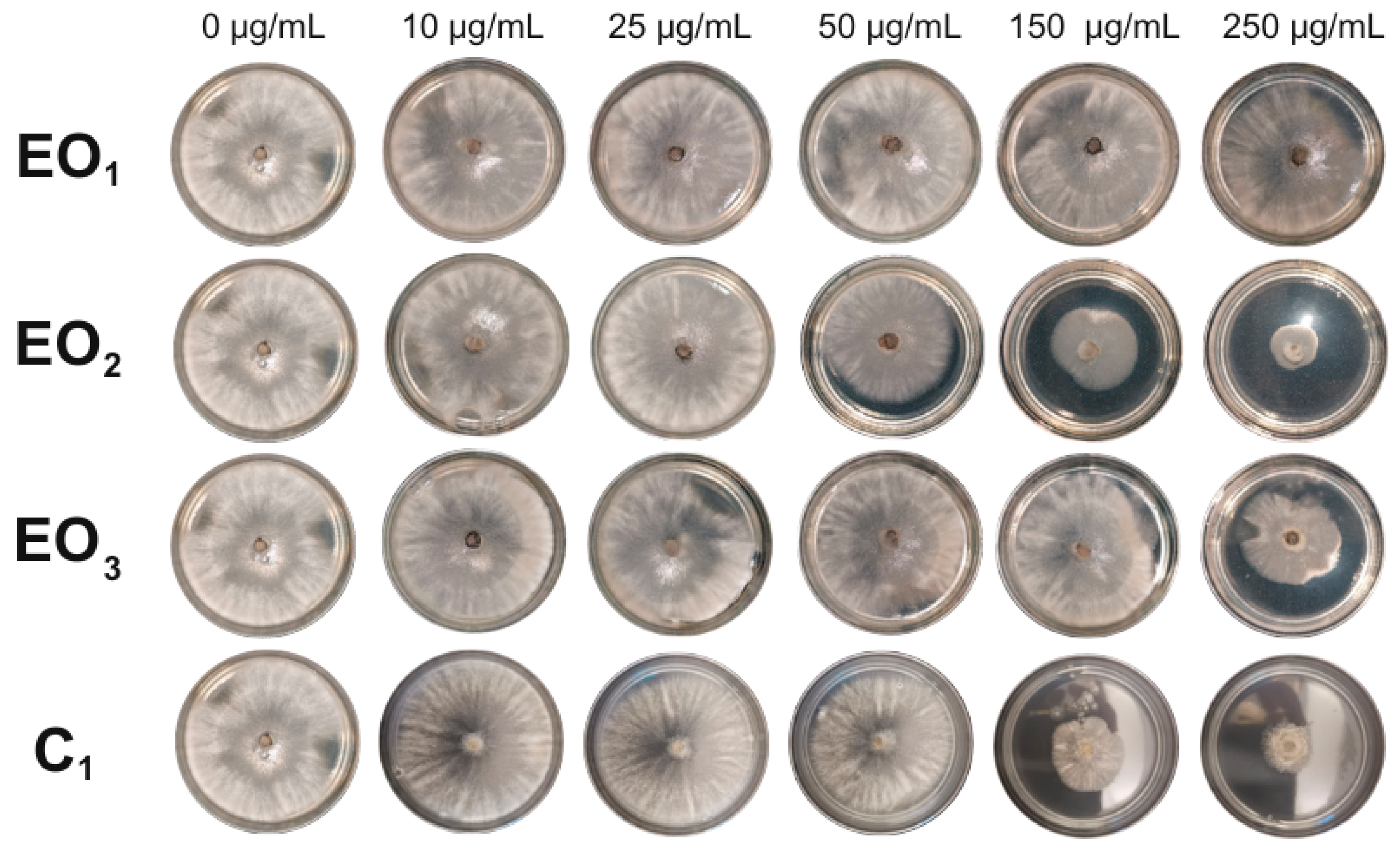 Agronomy 16 00171 g001 Agronomy 16 00171 g001