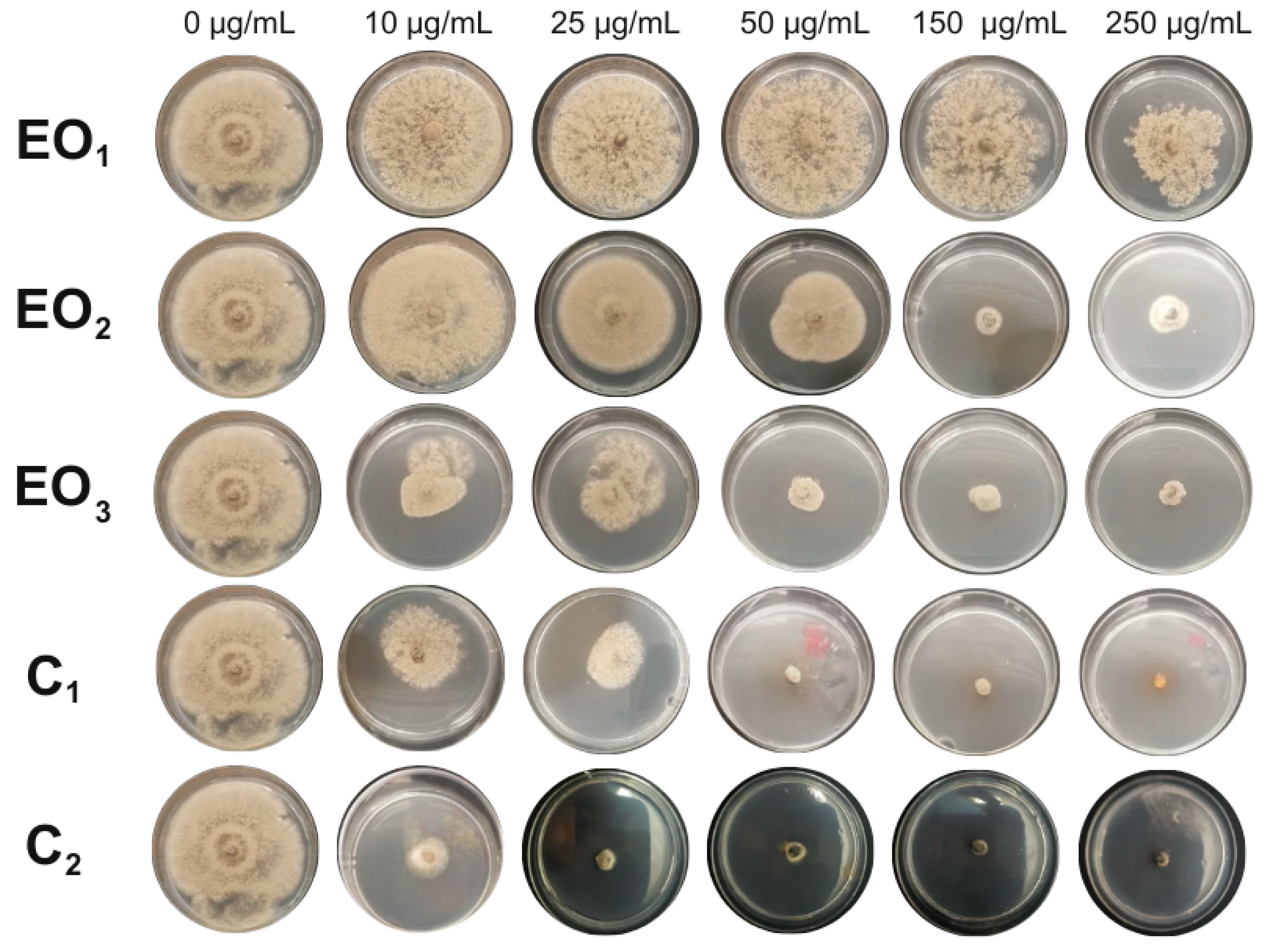Agronomy 16 00171 g002 Agronomy 16 00171 g002