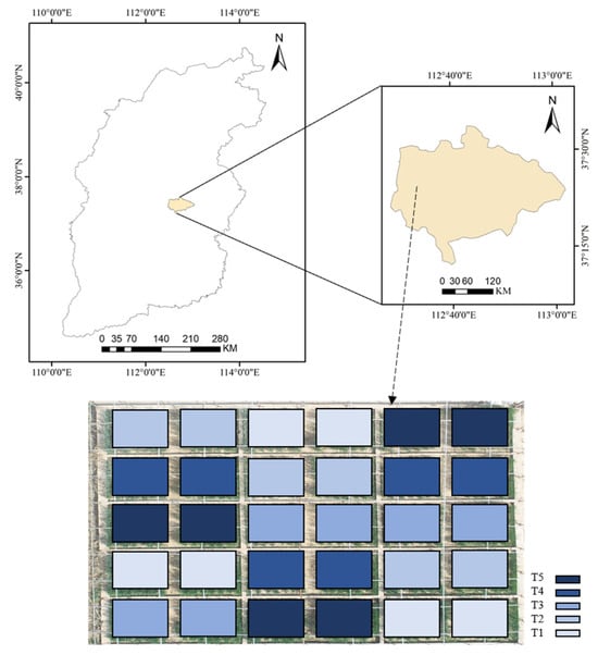 Location Map of the Study Area.