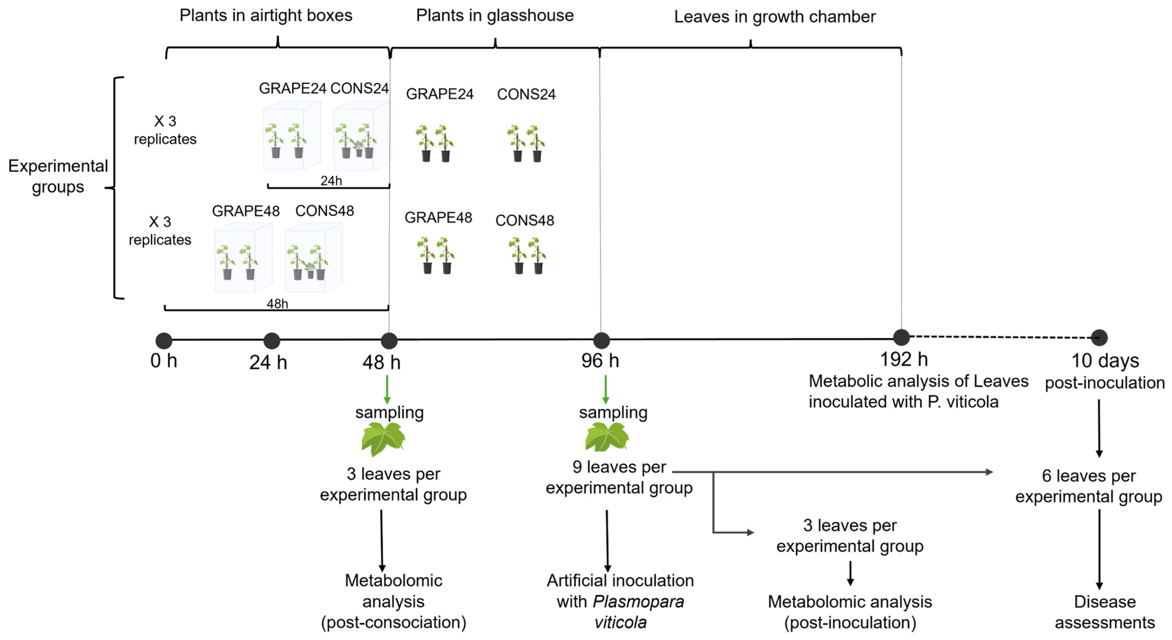Agronomy 16 00201 g001 Agronomy 16 00201 g001