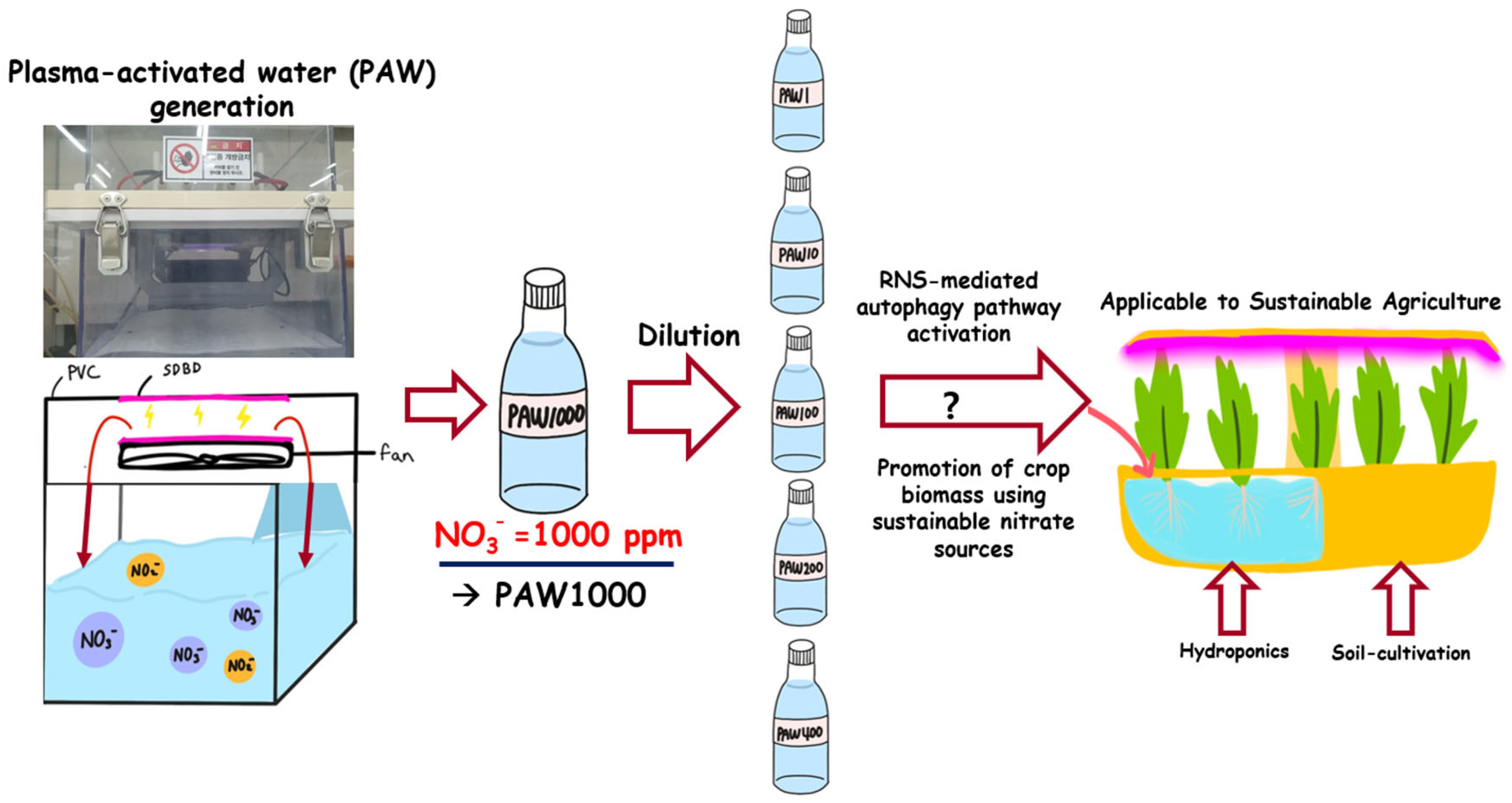 Agronomy 16 00207 g001