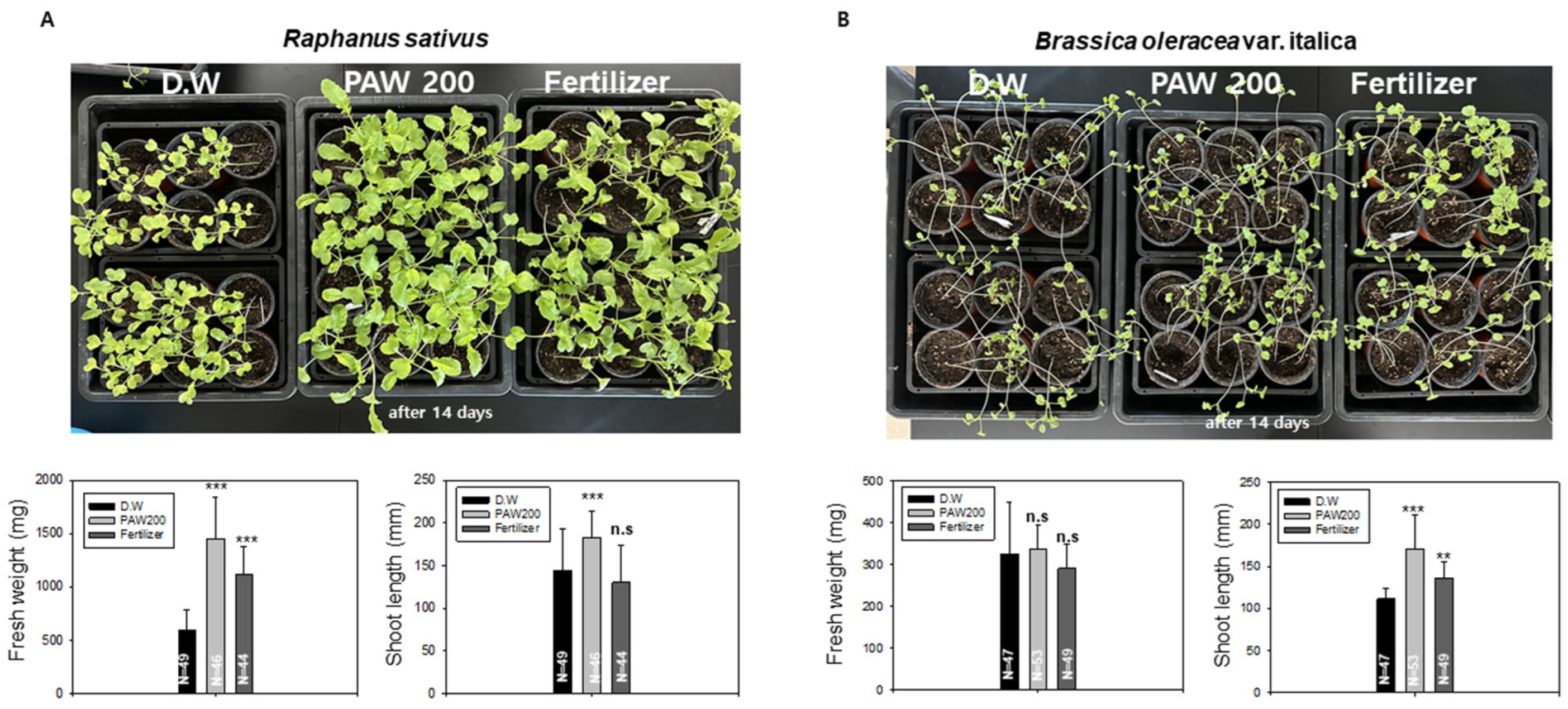 Agronomy 16 00207 g004