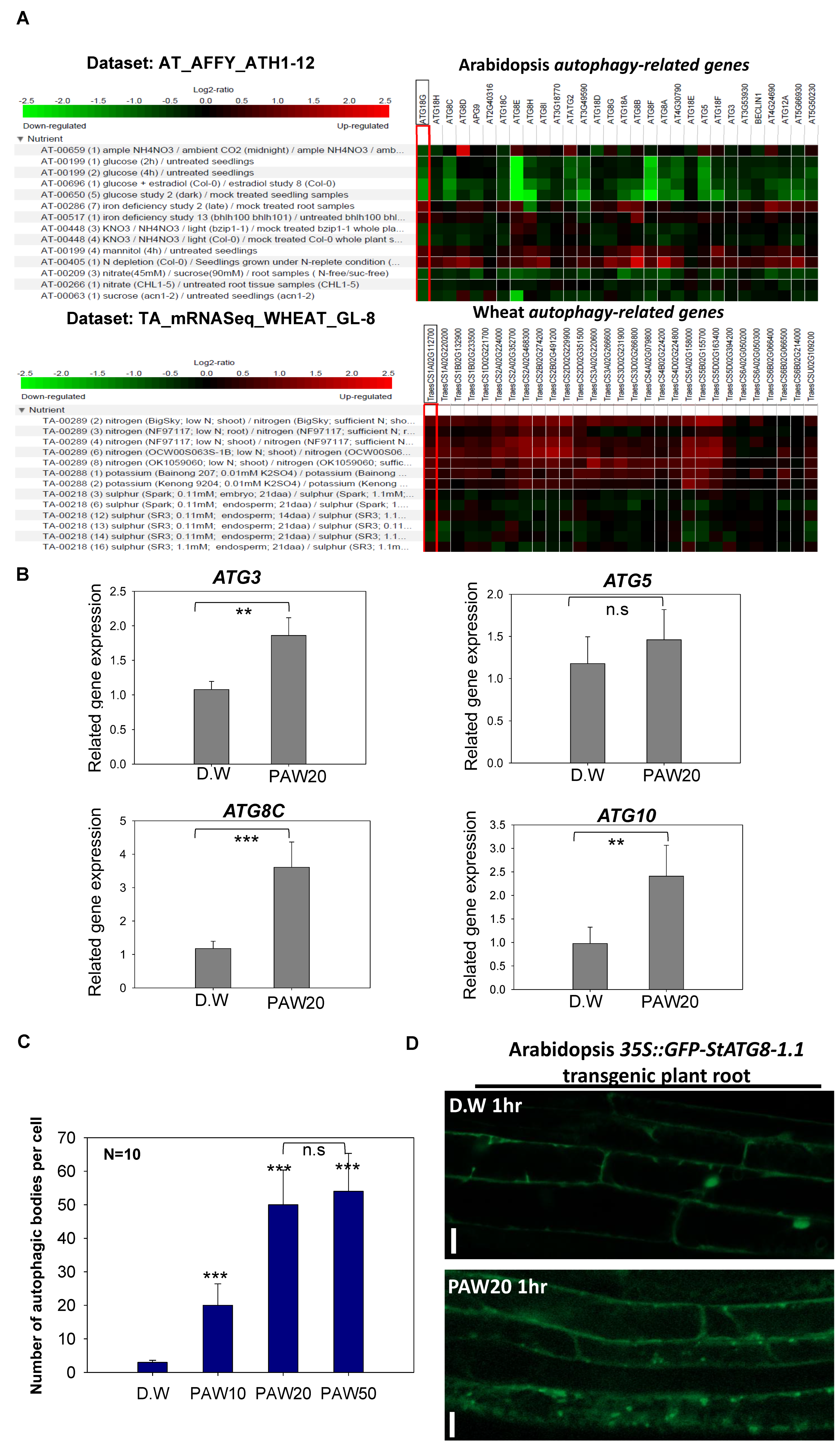 Agronomy 16 00207 g005