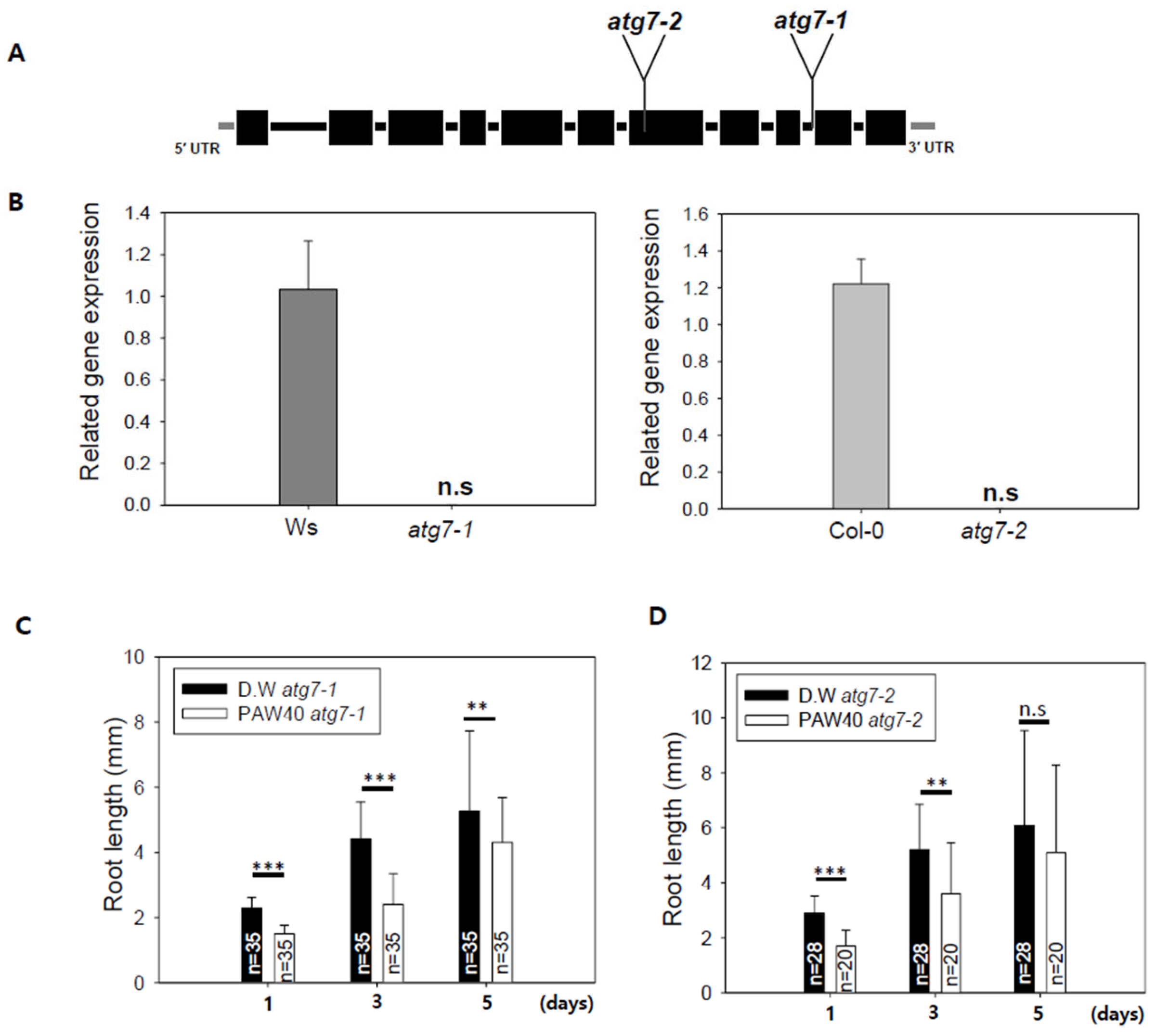 Agronomy 16 00207 g006