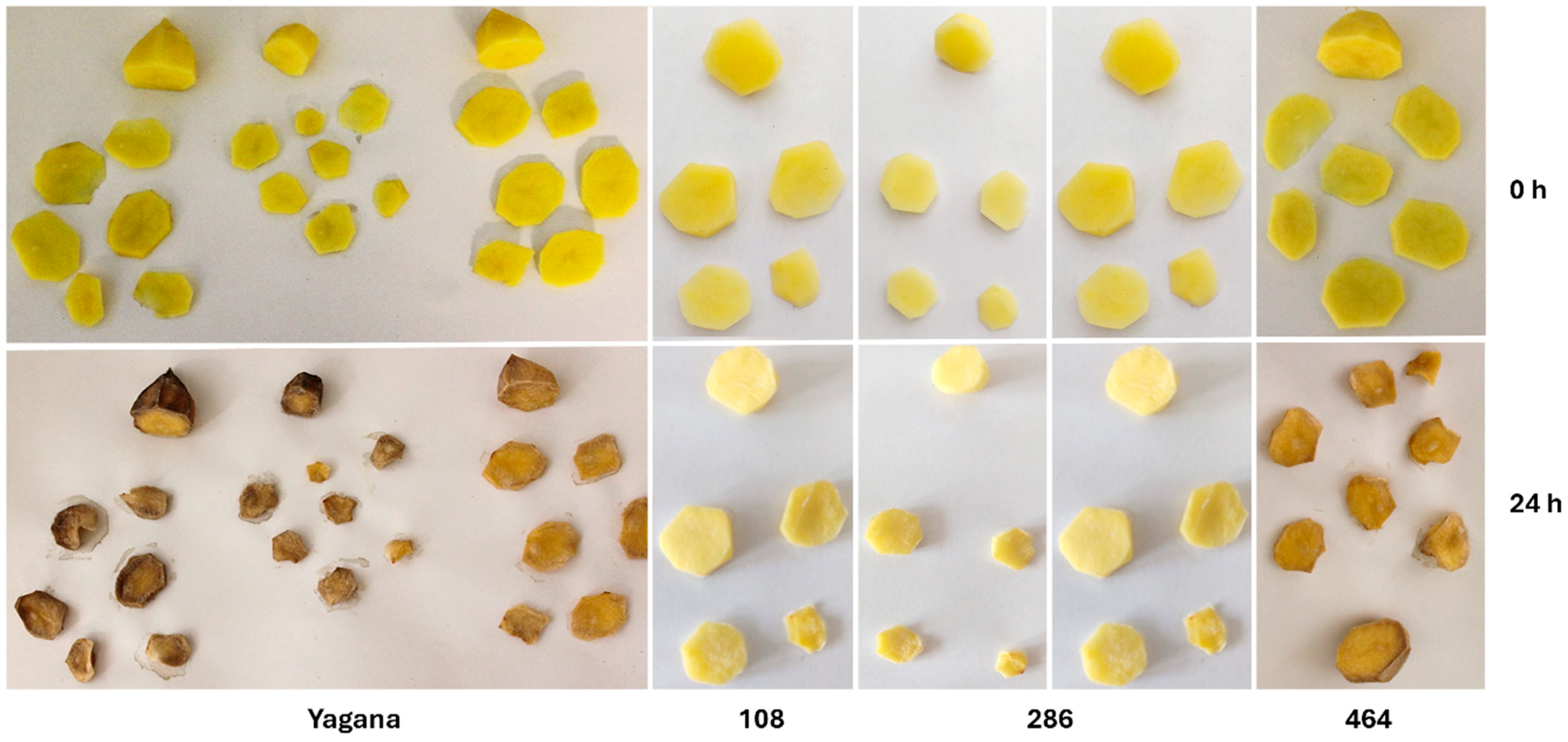 Agronomy 16 00216 g002 Agronomy 16 00216 g002