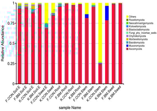 Relative abundance of fungal phyla across sorghum (Sorghum bicolor L. Moench) compartments under control and Trichoderma-based treatments. Samples were collected from four plant compartments: bulk soil, roots, seeds, and stems. The experiment included two S. bicolor cultivars—Kalatur (K) and Foehn (F)—representing a dual-purpose and a sweet sorghum type, respectively. Control plants (CON) received no microbial inoculant, whereas treatment plants (BM) were inoculated with a Trichoderma formulation at sowing. Colors represent dominant fungal phyla, with taxa representing < 1% relative abundance across all samples grouped as “Others.” Relative abundances were calculated from ITS1/ITS2 amplicon sequence variants (ASVs) following quality filtering and chimera removal.