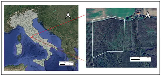 Agronomy 16 00240 g0a1