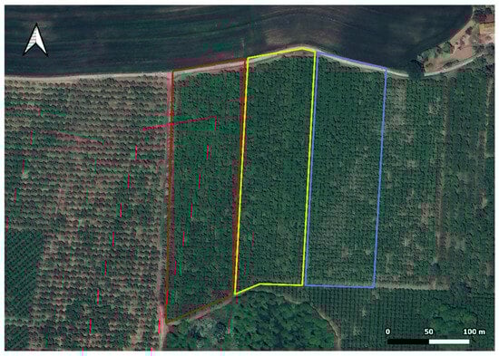 Agronomy 16 00240 g0a4