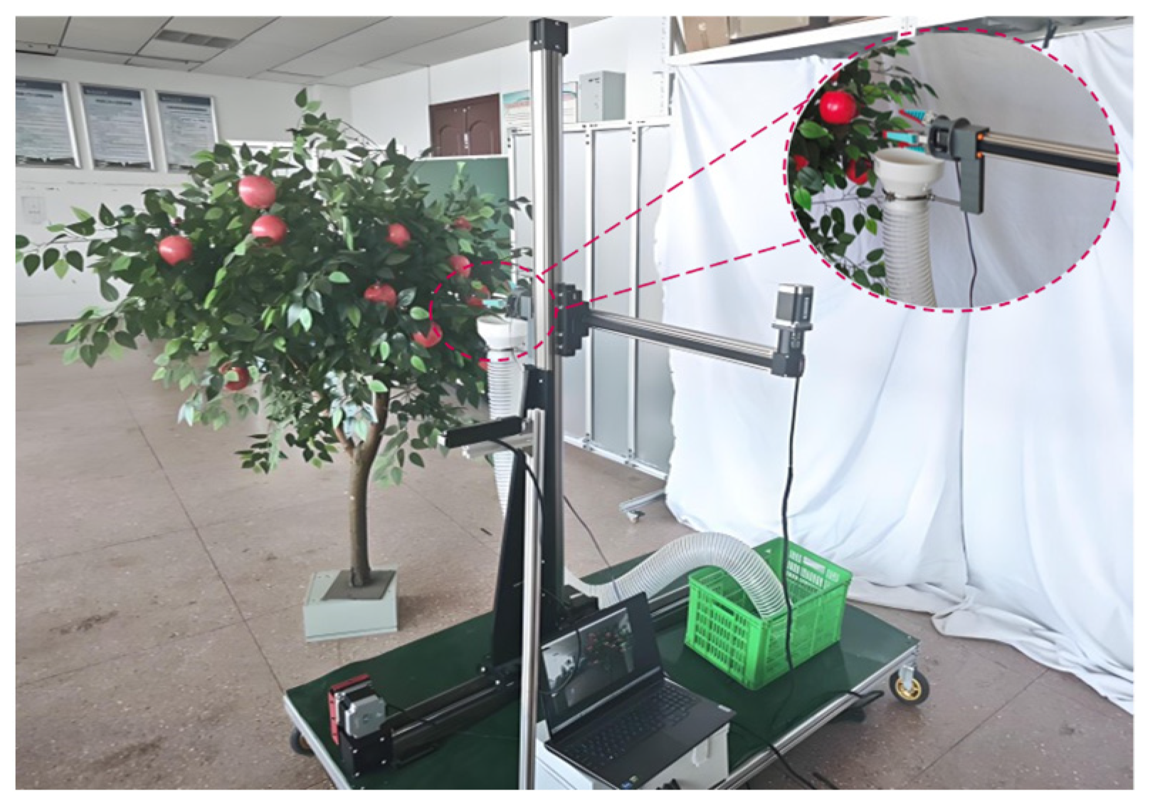 Agronomy 16 00272 g009 Agronomy 16 00272 g009