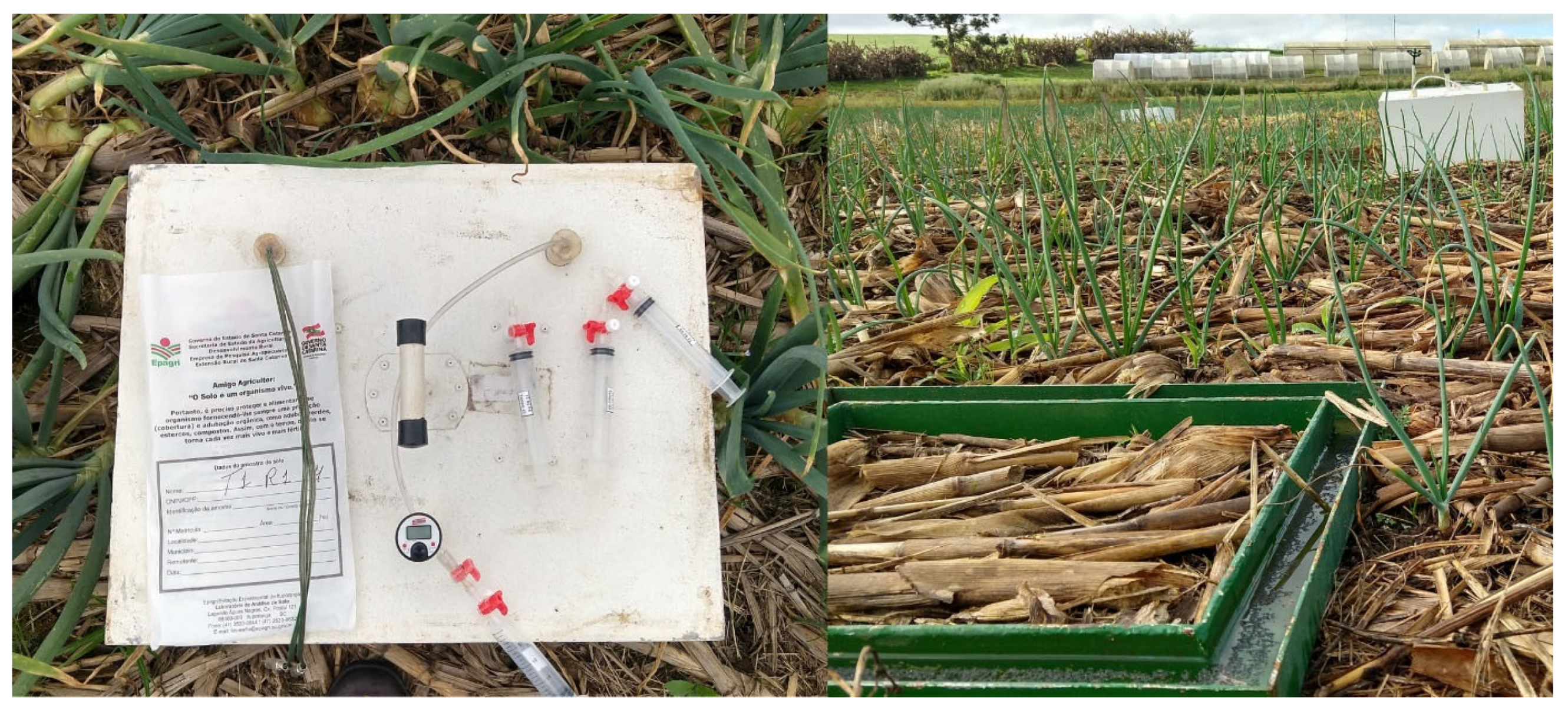 Agronomy 16 00278 g002