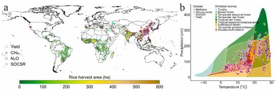 Distribution of the global dataset in this study. (a) Geographic locations of experiments in the dataset. (b) Whittaker biomes map of distribution sites.
