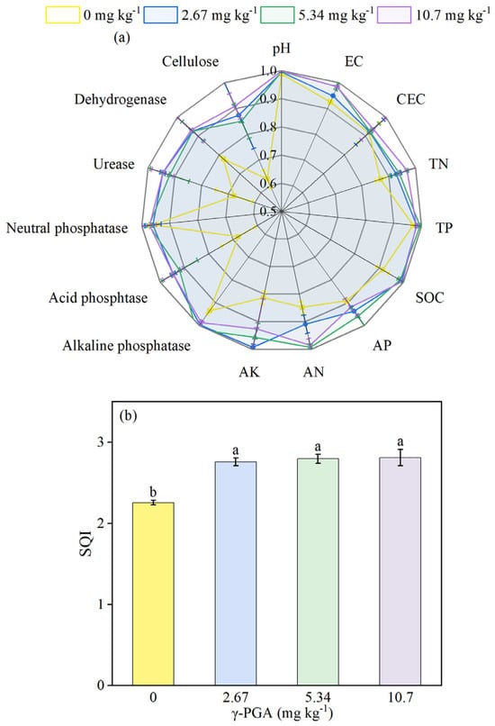 Agronomy 16 00317 g002