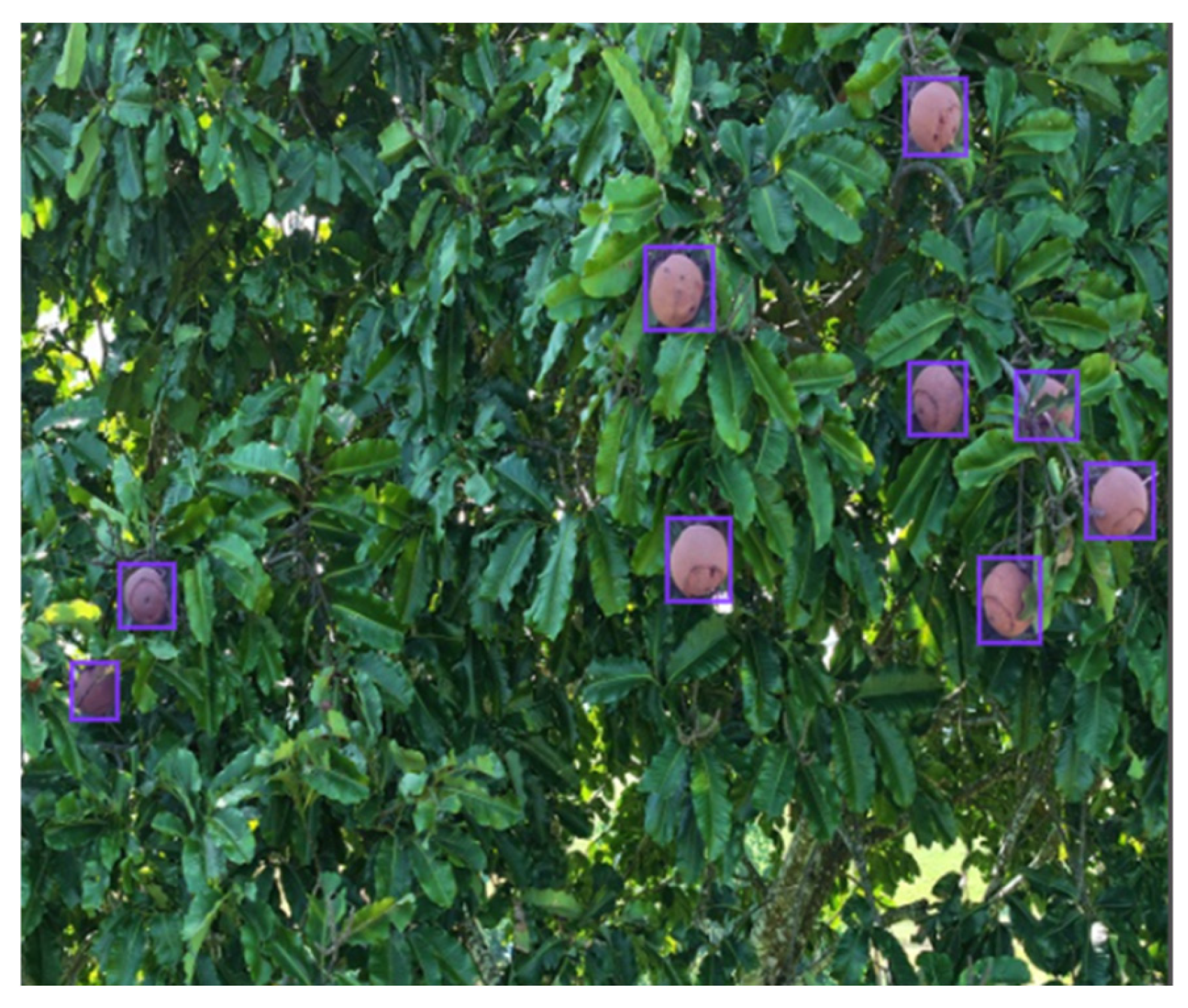 Agronomy 16 00341 g004