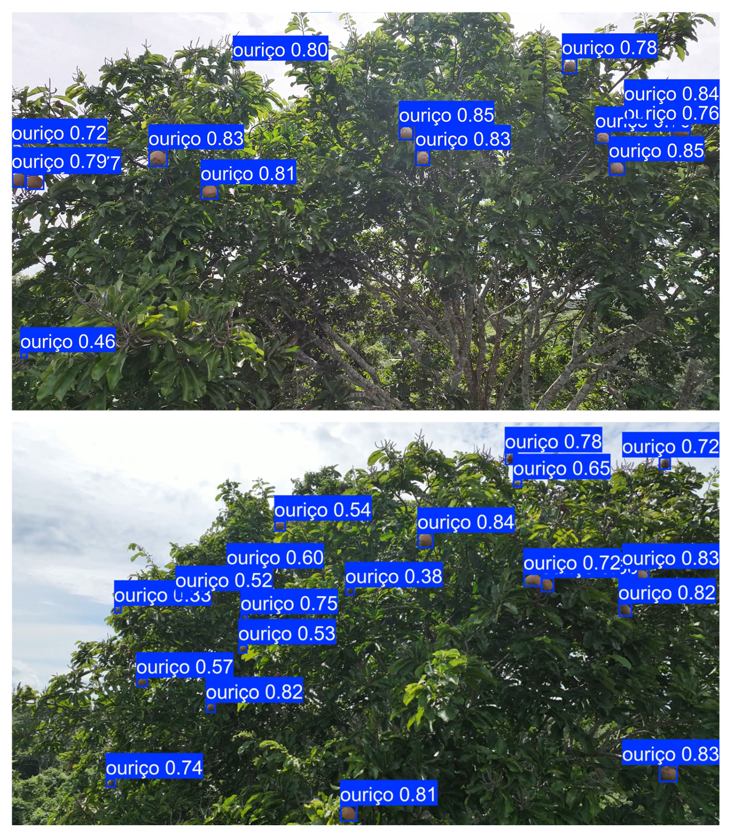 Agronomy 16 00341 g009b