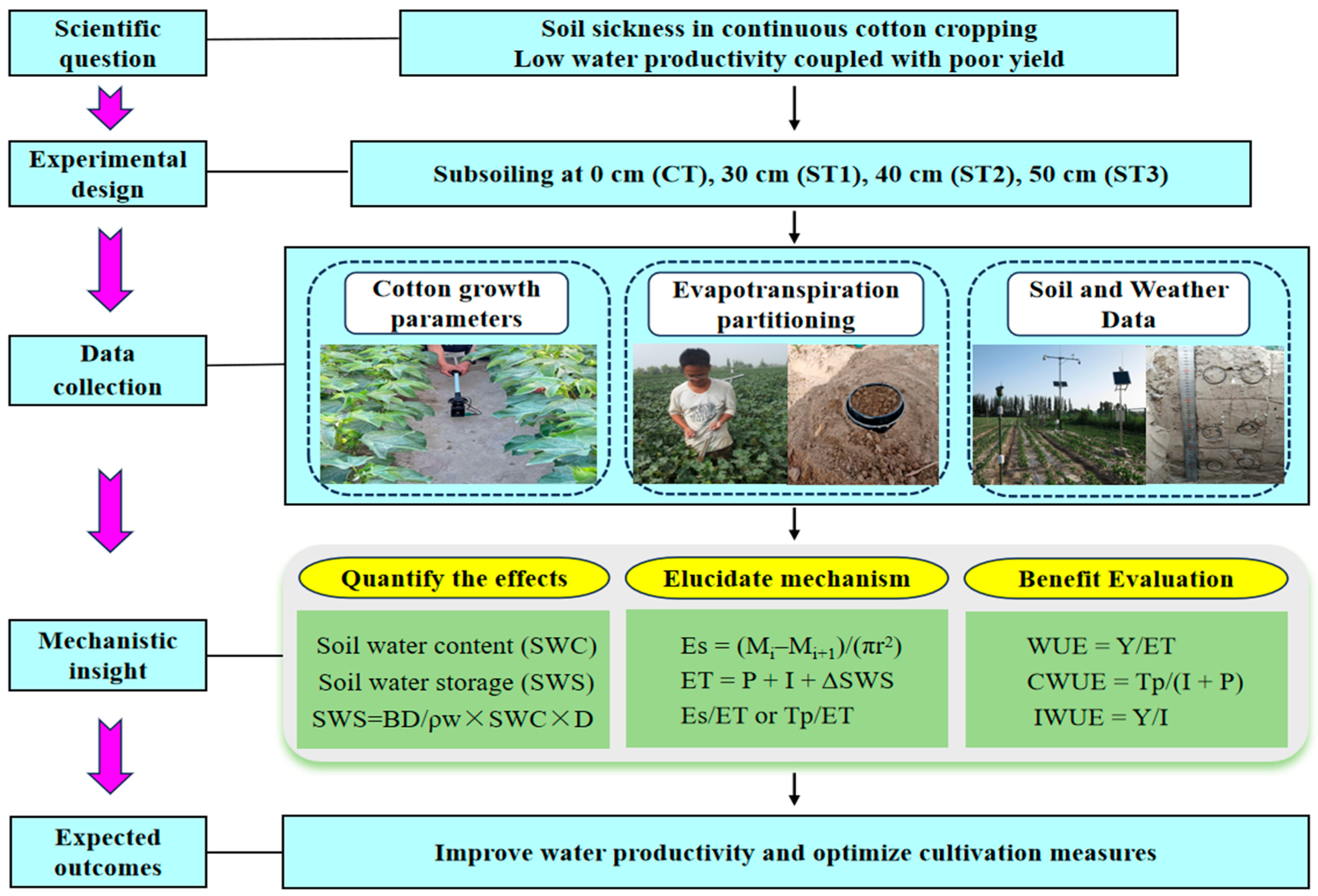 Agronomy 16 00359 g001 Agronomy 16 00359 g001