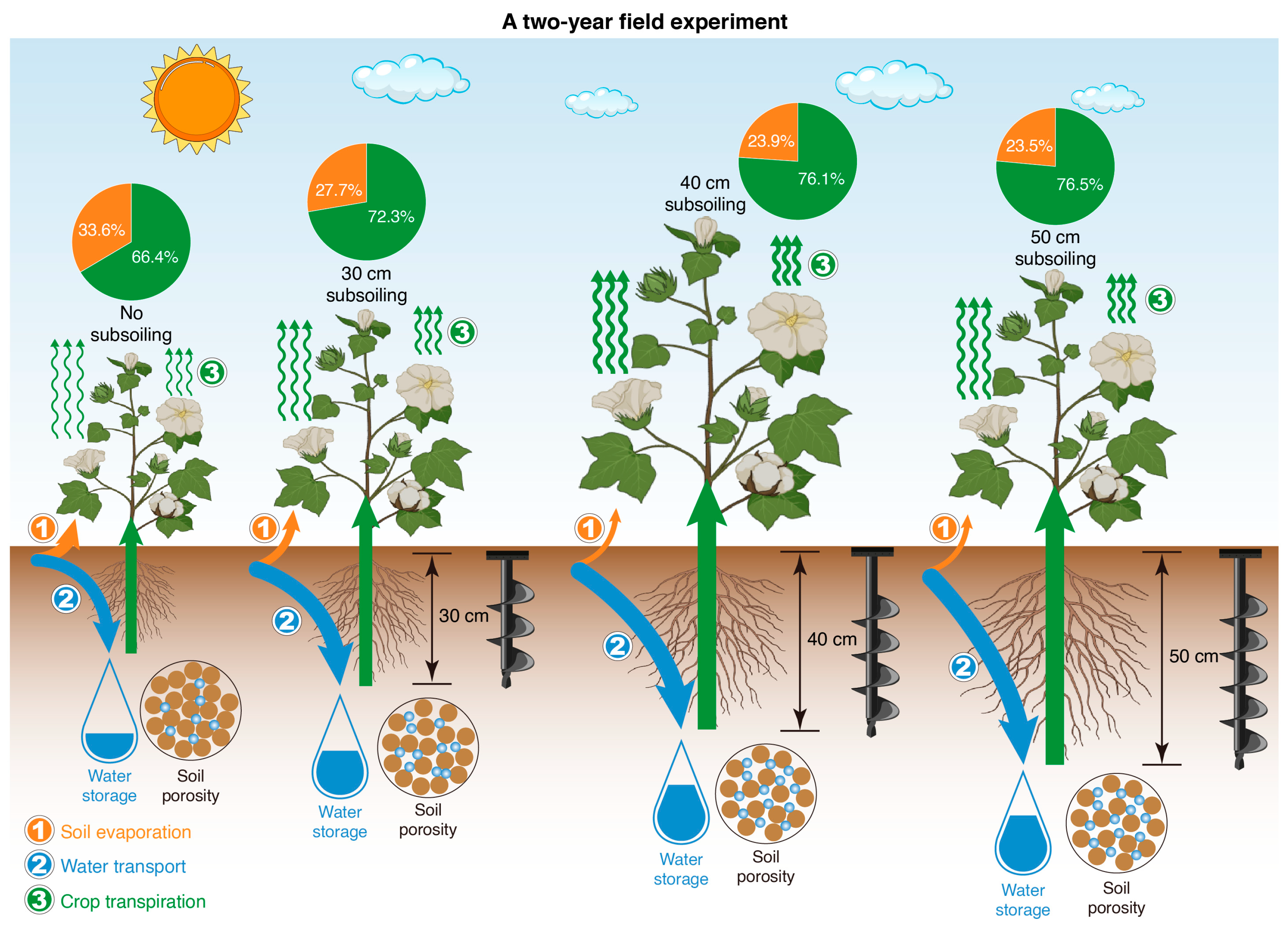 Agronomy 16 00359 g010 Agronomy 16 00359 g010