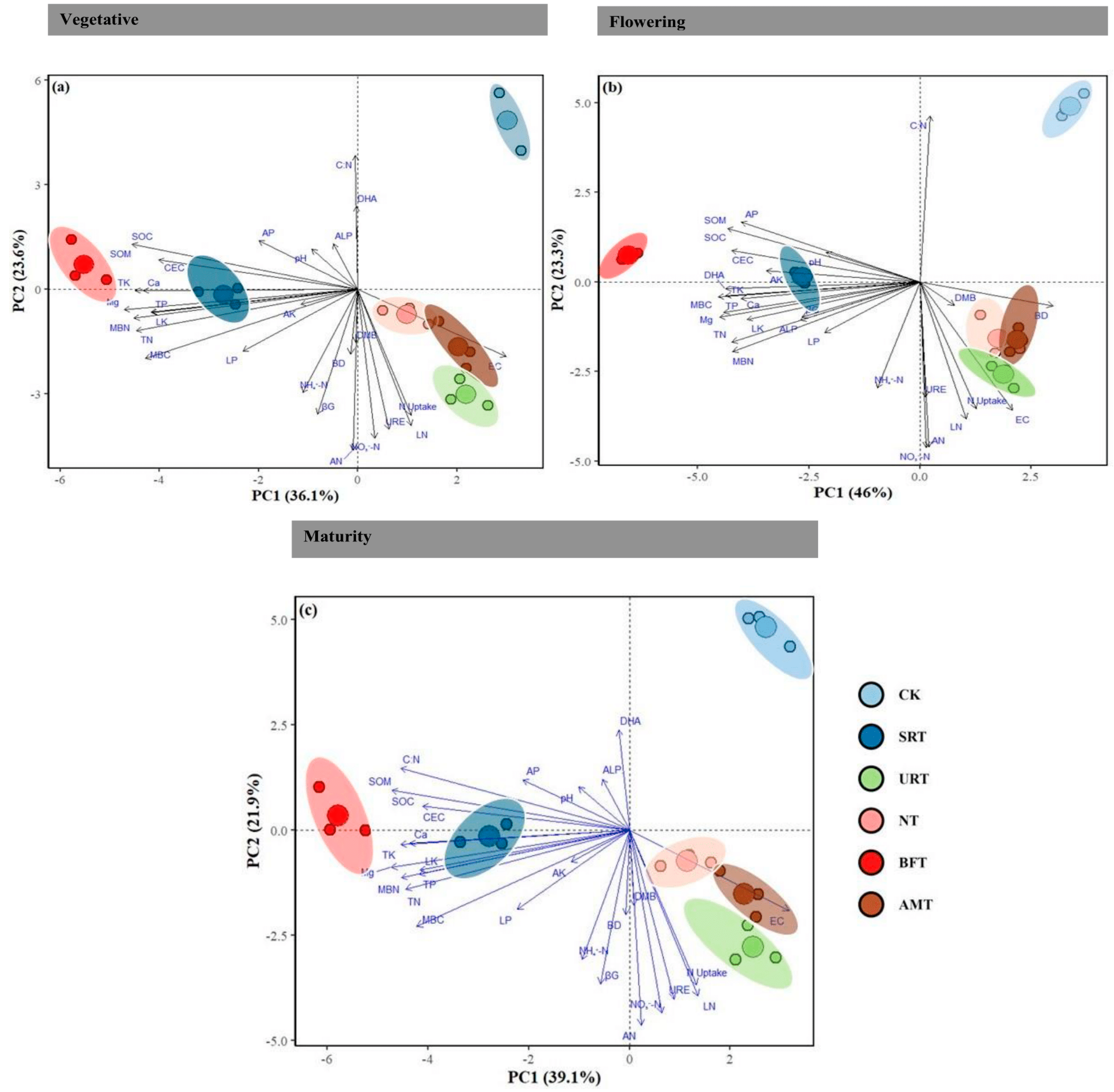 Agronomy 16 00366 g006