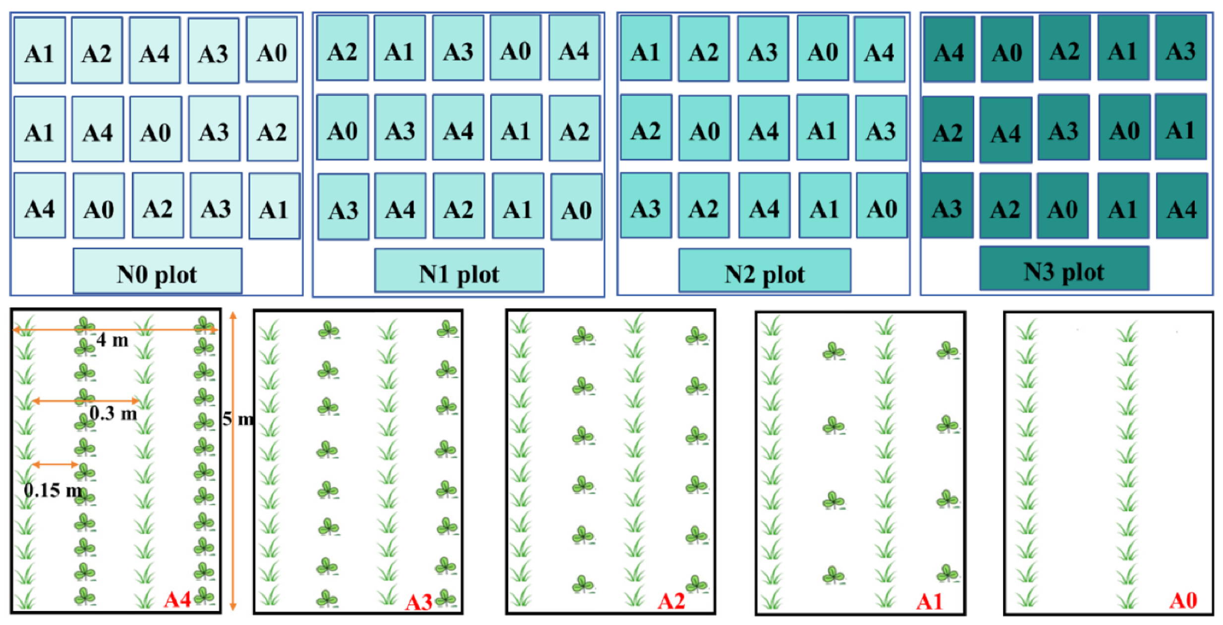 Agronomy 16 00395 g001 Agronomy 16 00395 g001