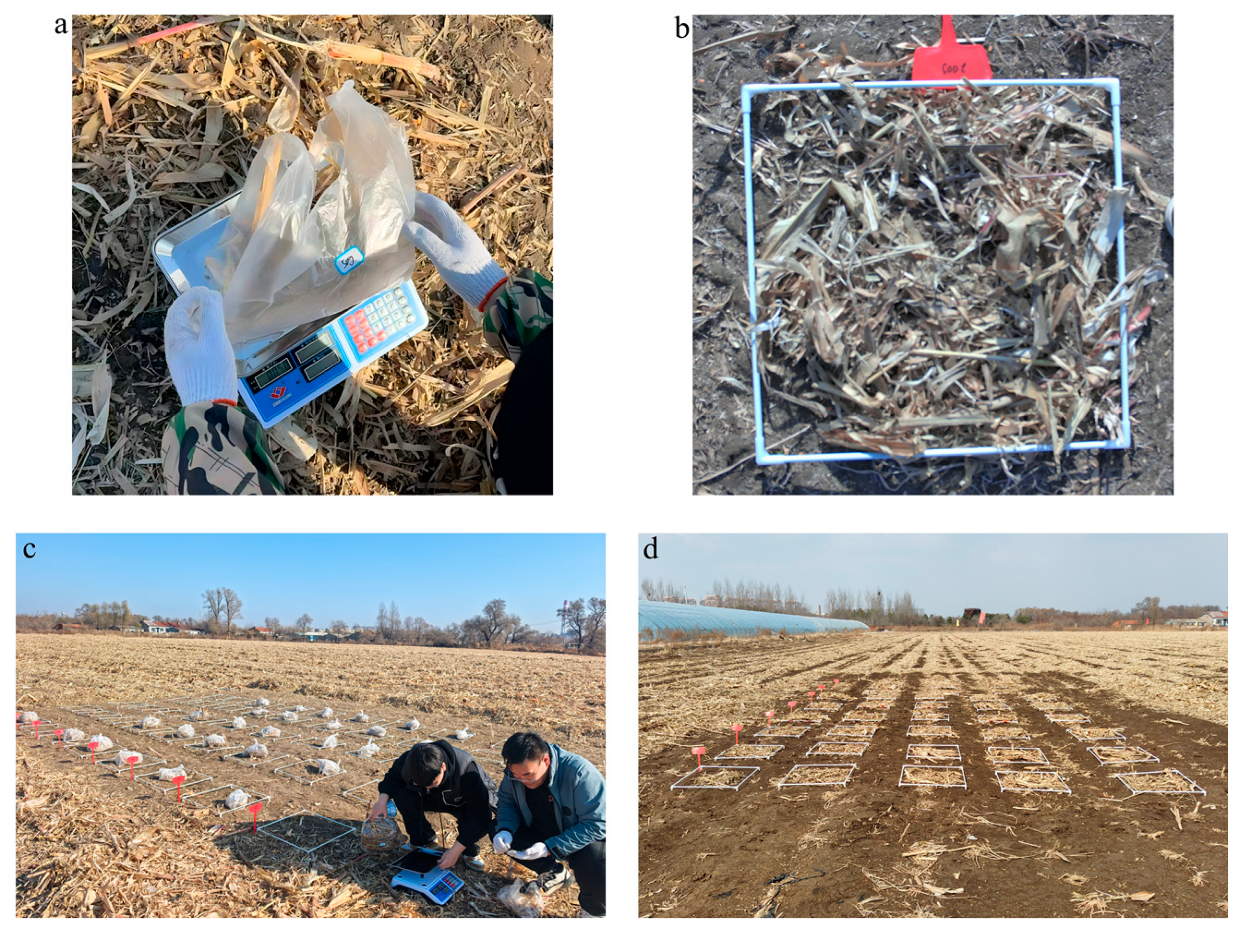Agronomy 16 00416 g002 Agronomy 16 00416 g002