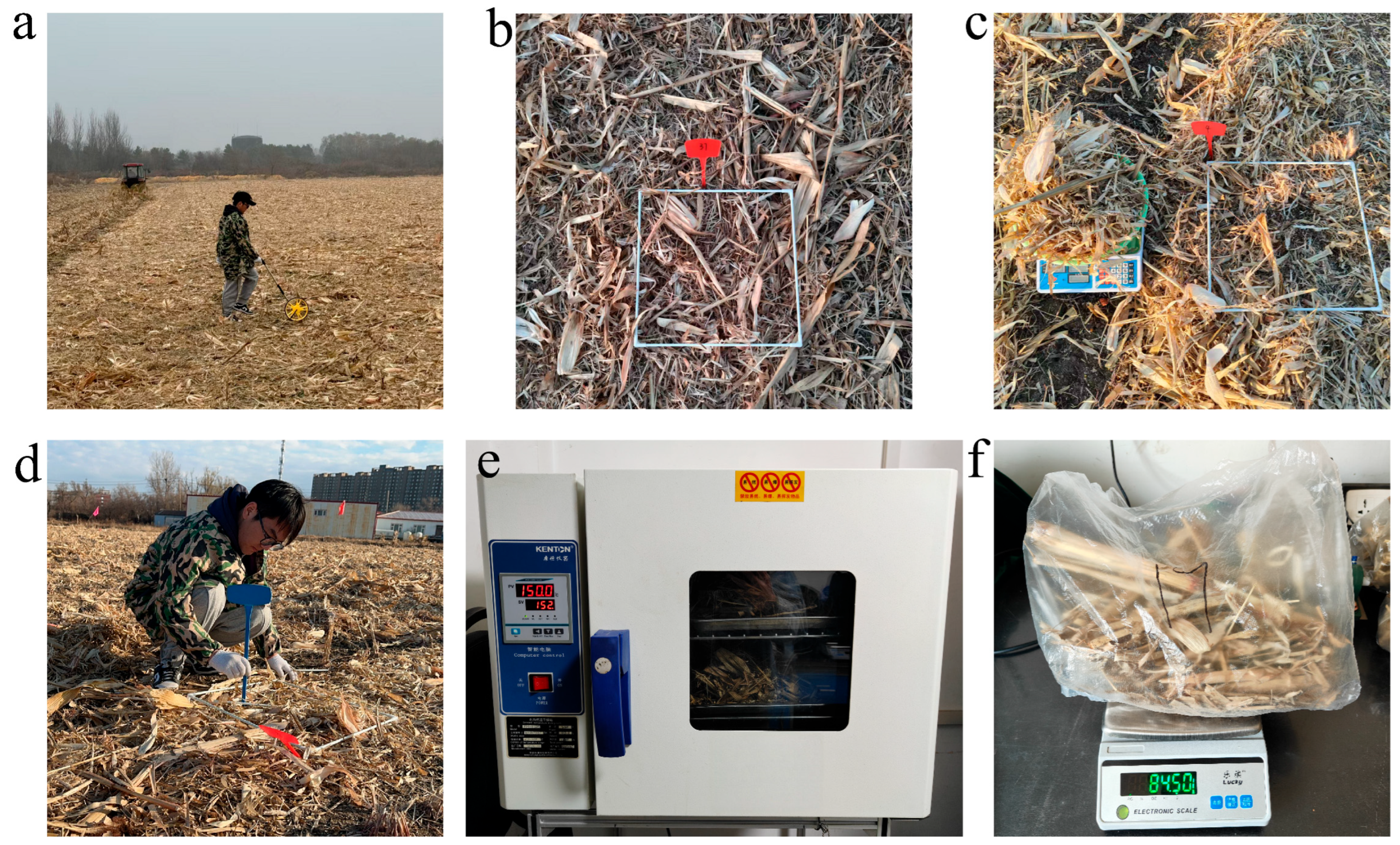 Agronomy 16 00416 g004 Agronomy 16 00416 g004