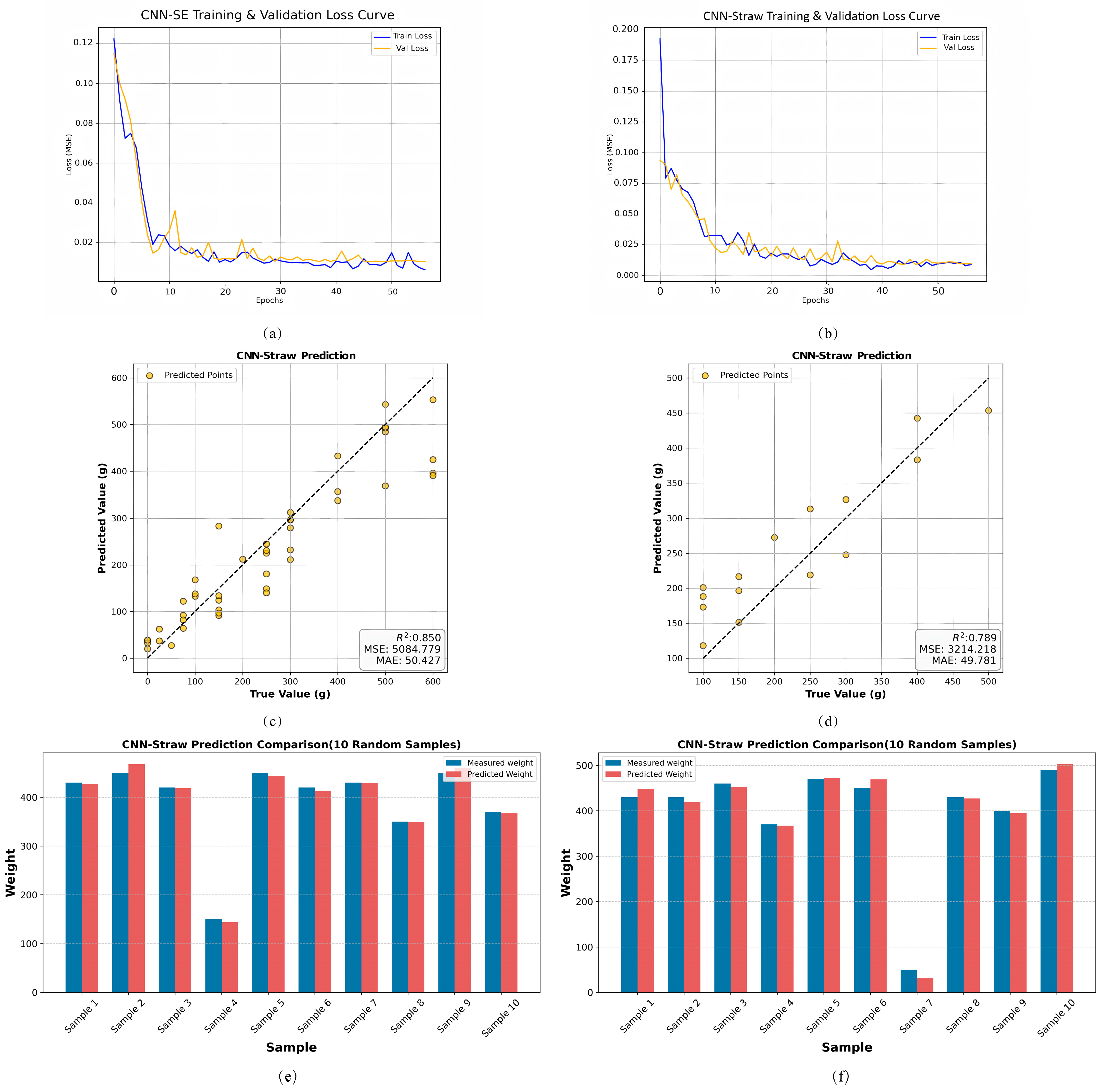 Agronomy 16 00416 g013 Agronomy 16 00416 g013