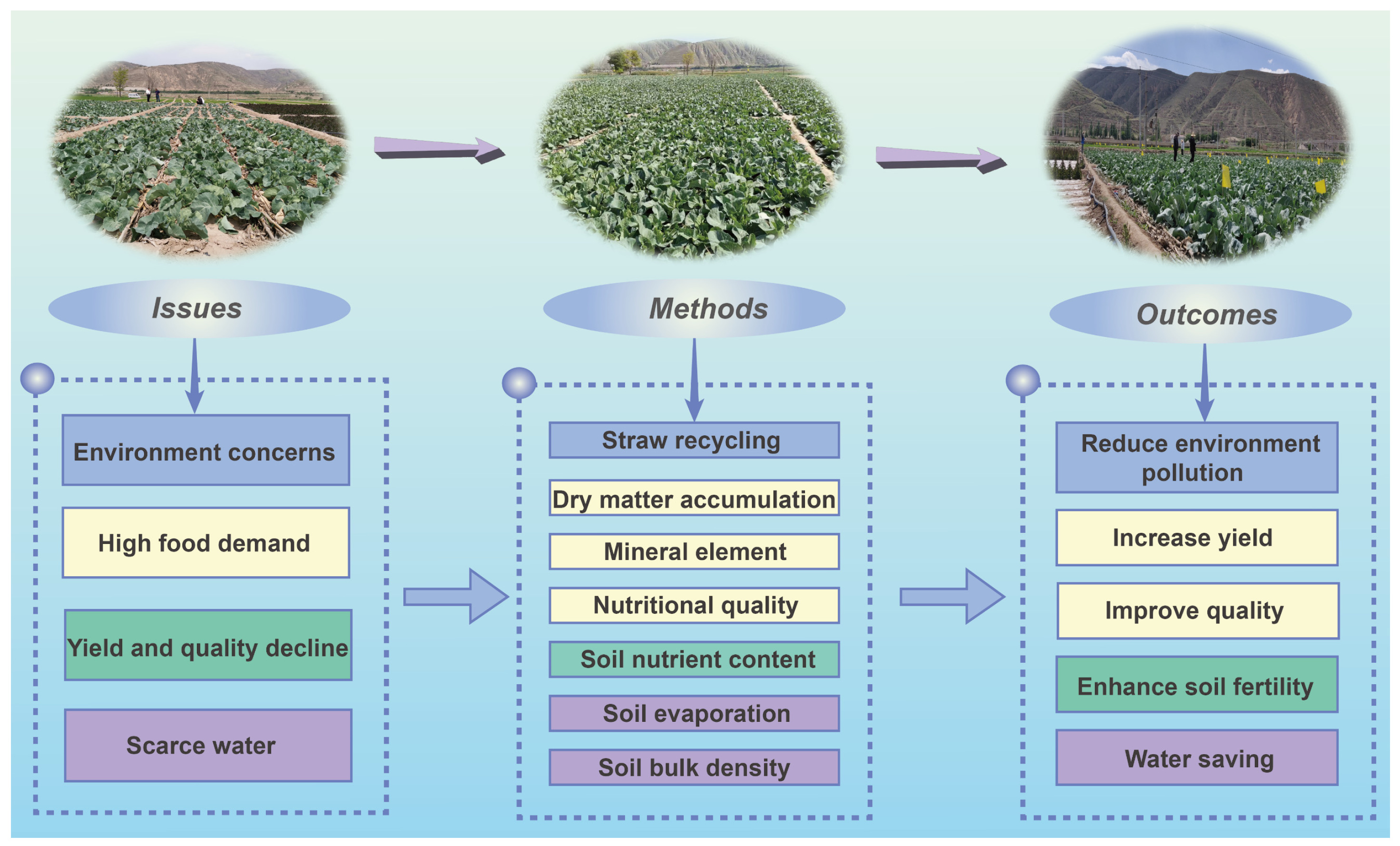 Agronomy 16 00482 g010 Agronomy 16 00482 g010