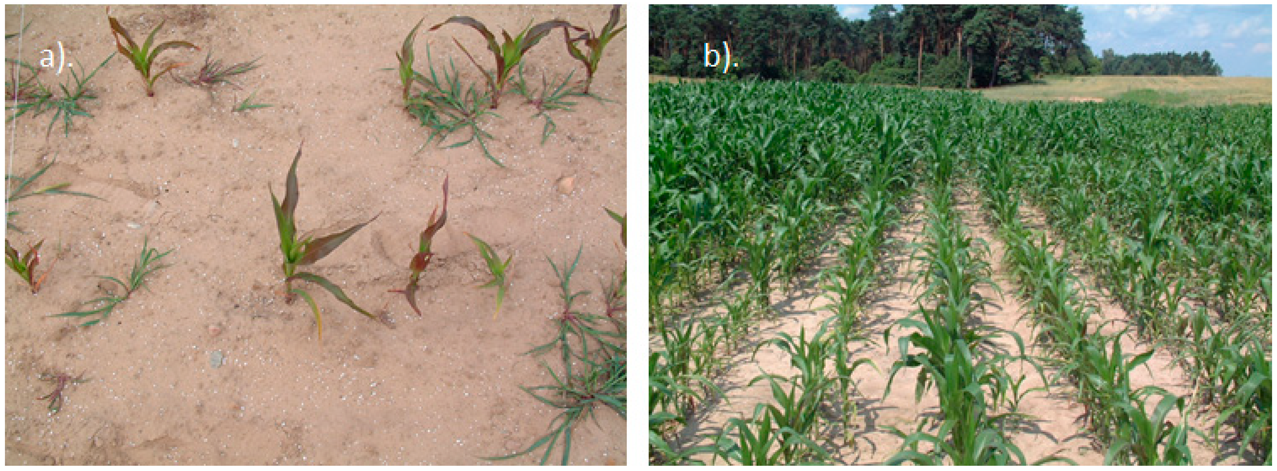 Agronomy 16 00483 g003 Agronomy 16 00483 g003