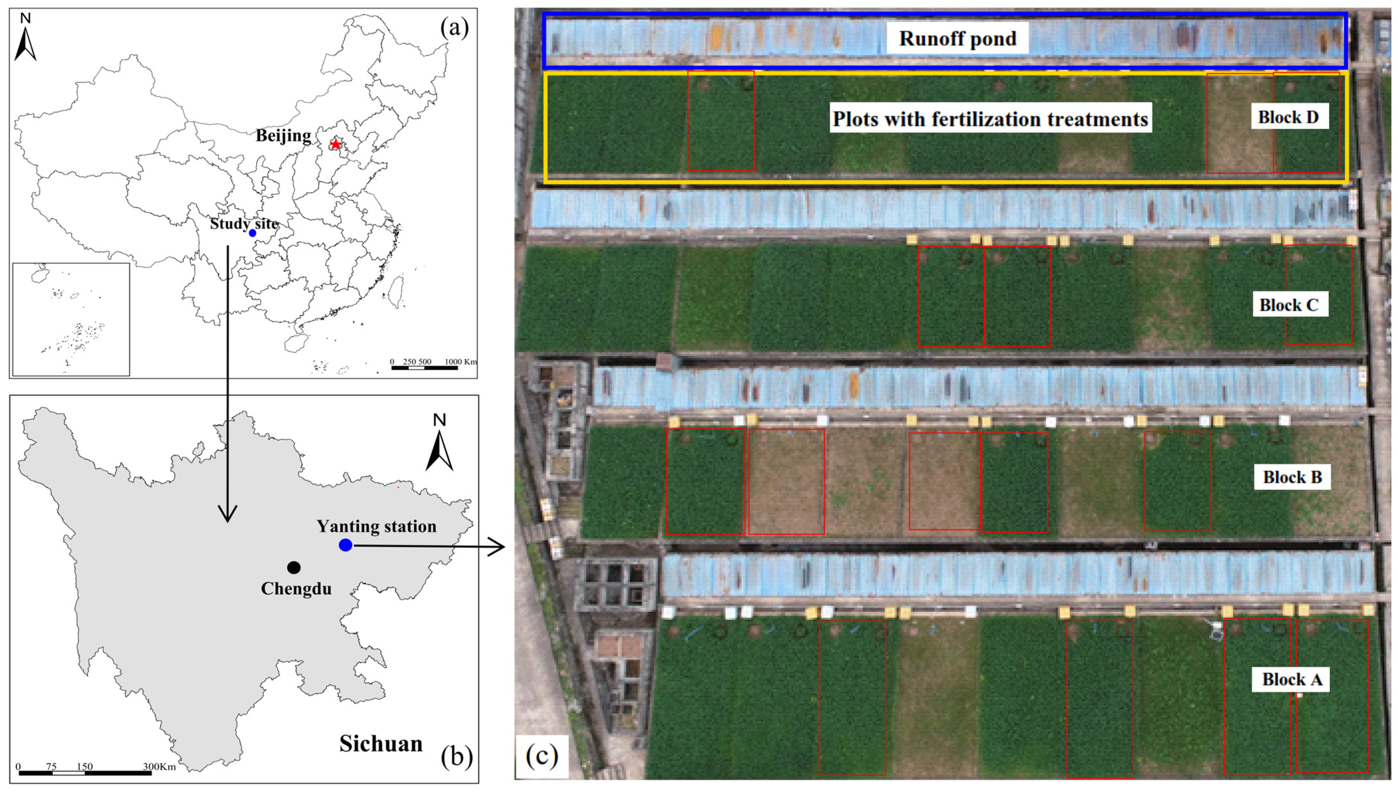 Agronomy 16 00487 g001 Agronomy 16 00487 g001
