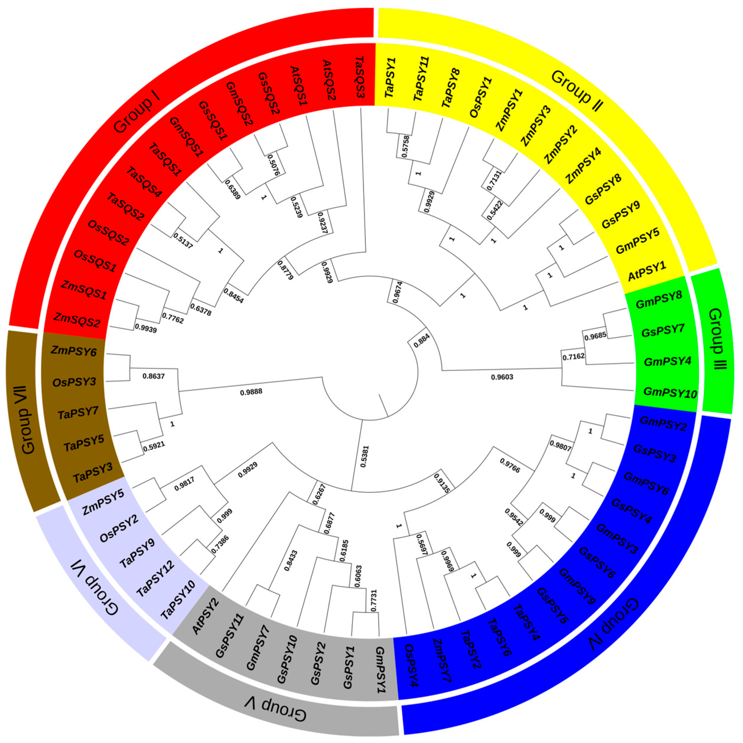 Agronomy 16 00512 g002