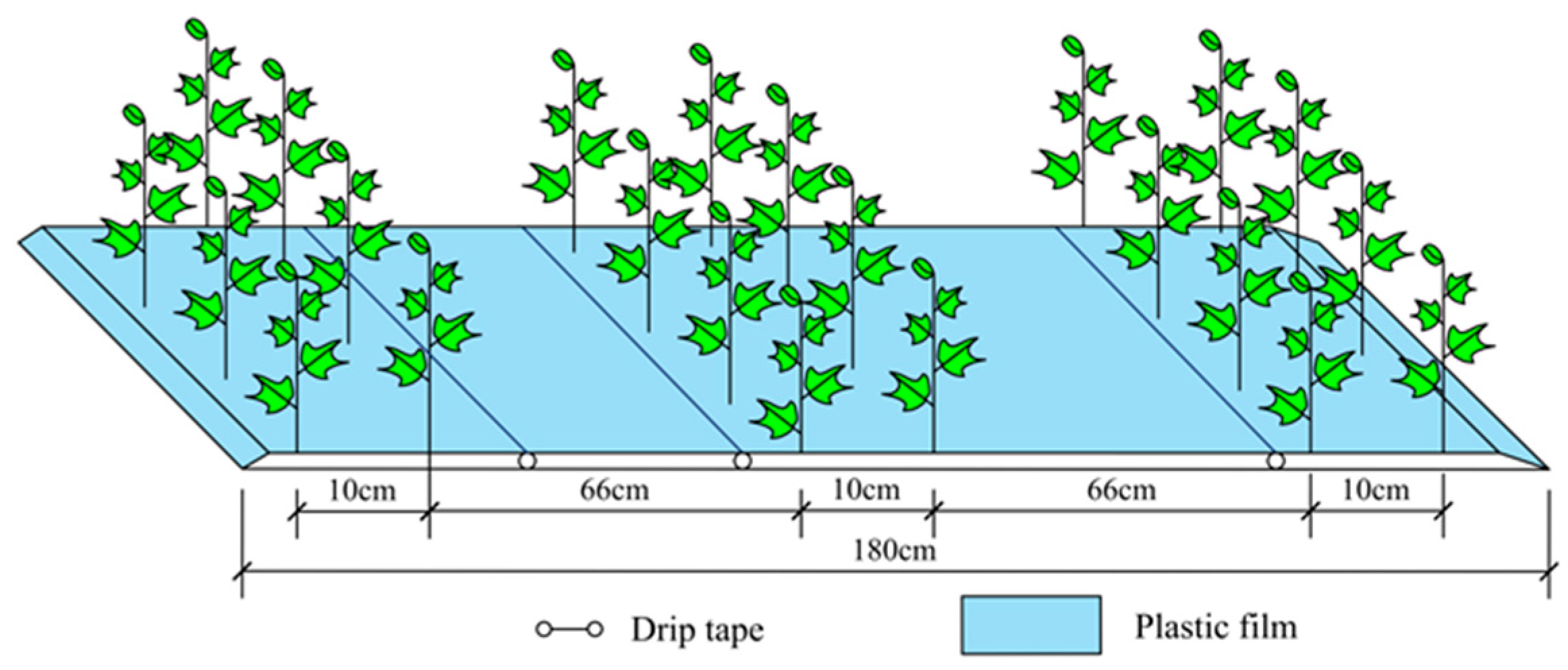 Agronomy 16 00607 g002 Agronomy 16 00607 g002