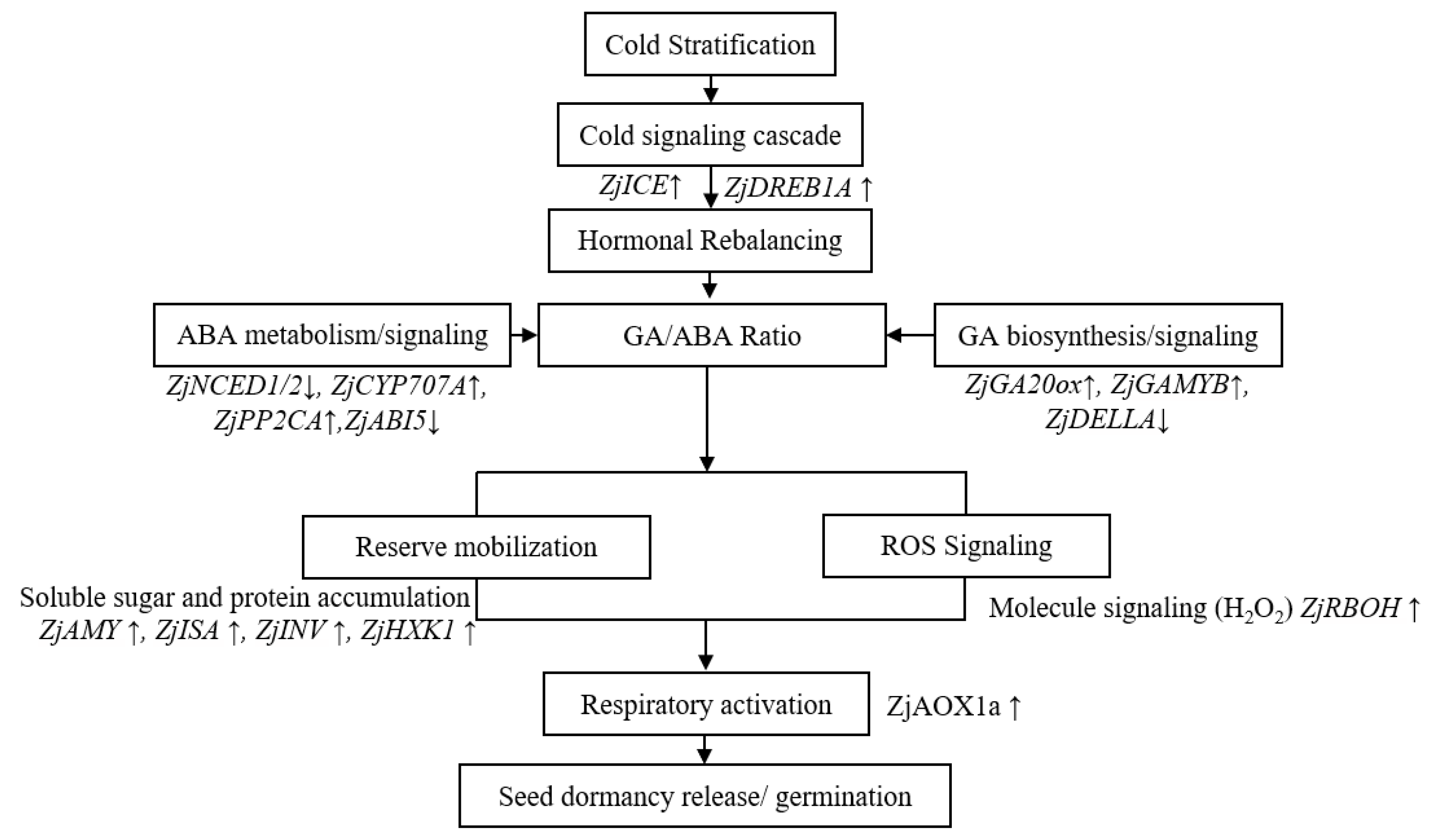 Agronomy 16 00640 g009 Agronomy 16 00640 g009