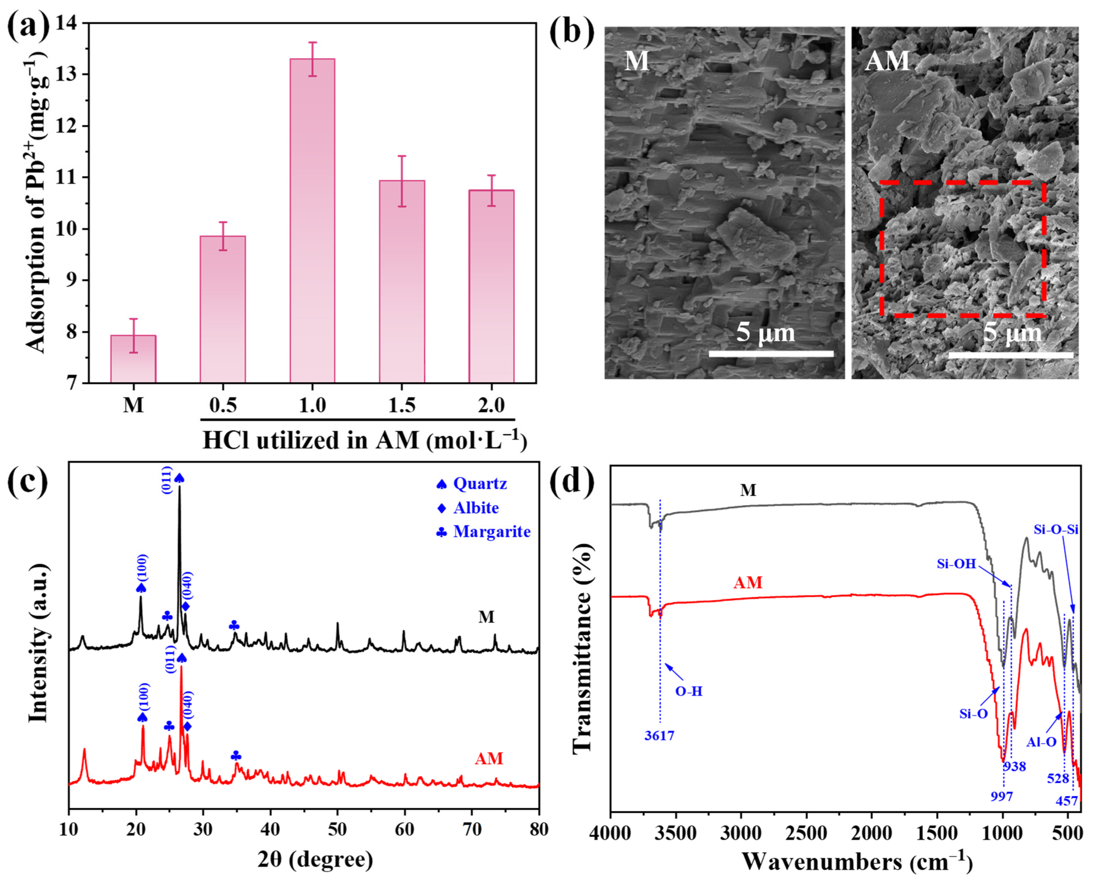 Agronomy 16 00641 g001