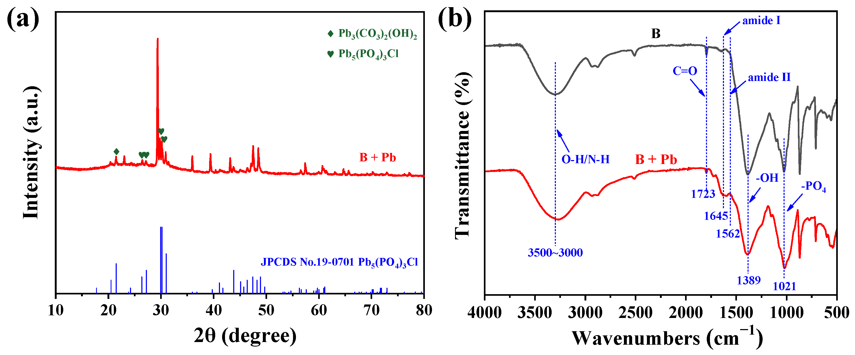 Agronomy 16 00641 g004