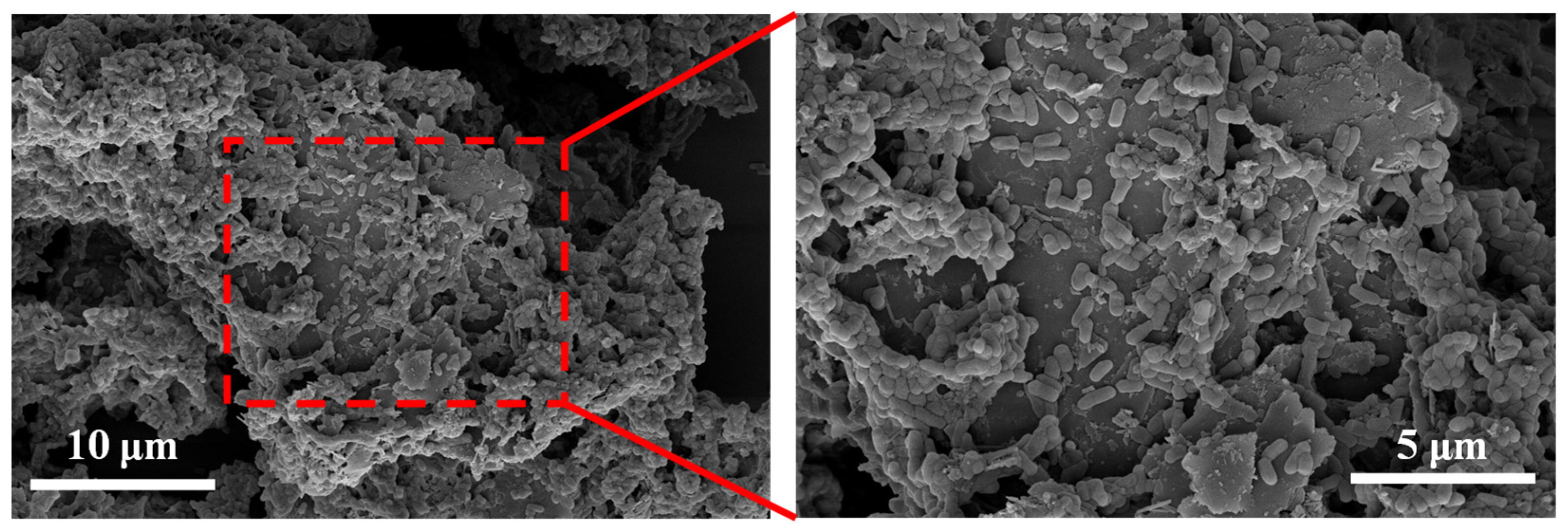 Agronomy 16 00641 g005