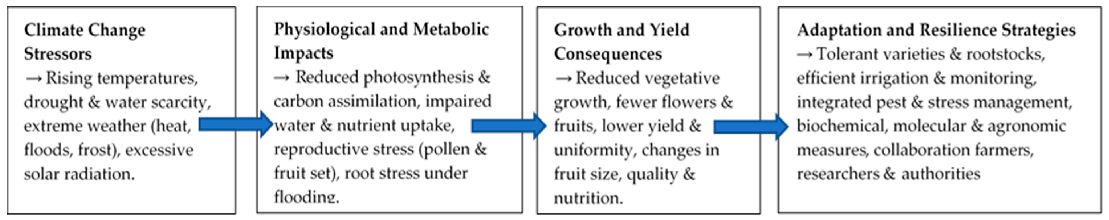 Agronomy 16 00665 g001 Agronomy 16 00665 g001