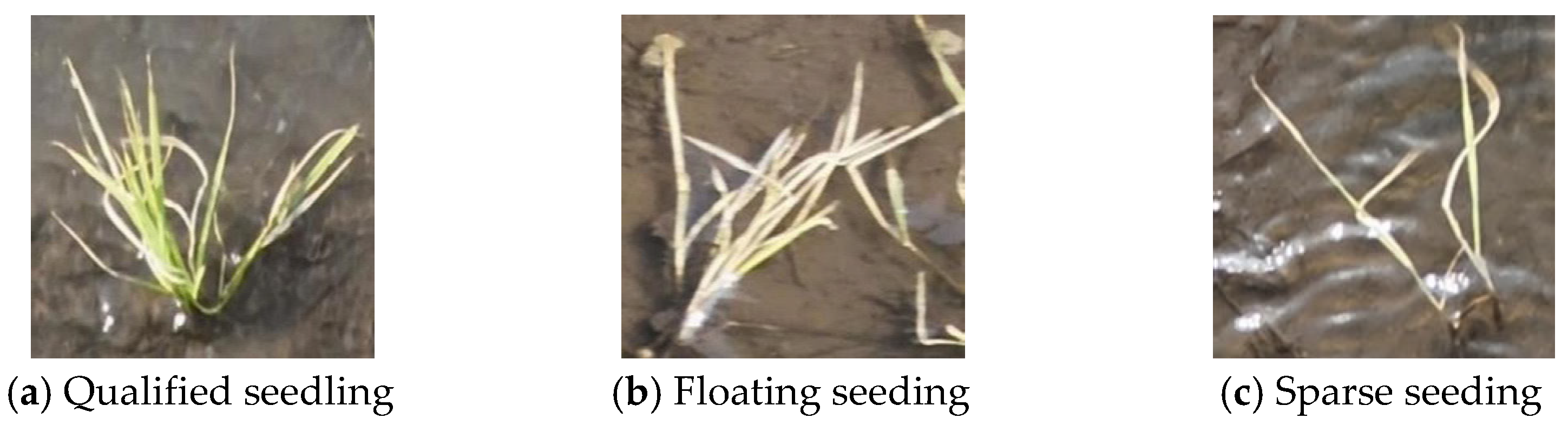 Agronomy 16 00678 g003 Agronomy 16 00678 g003