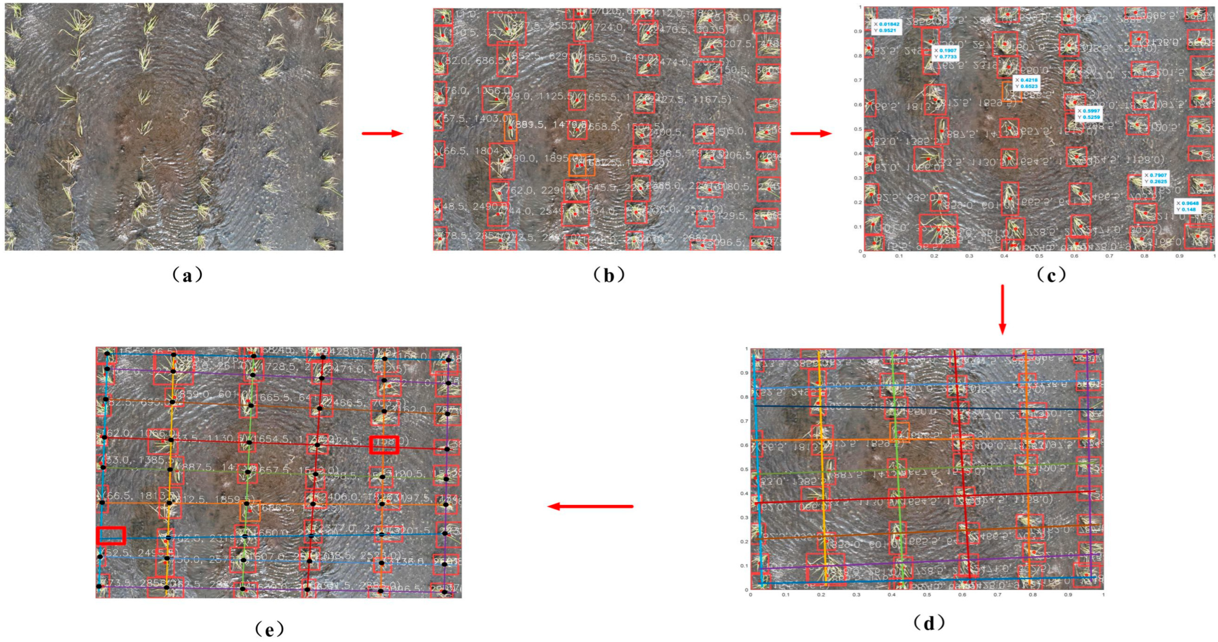 Agronomy 16 00678 g012 Agronomy 16 00678 g012