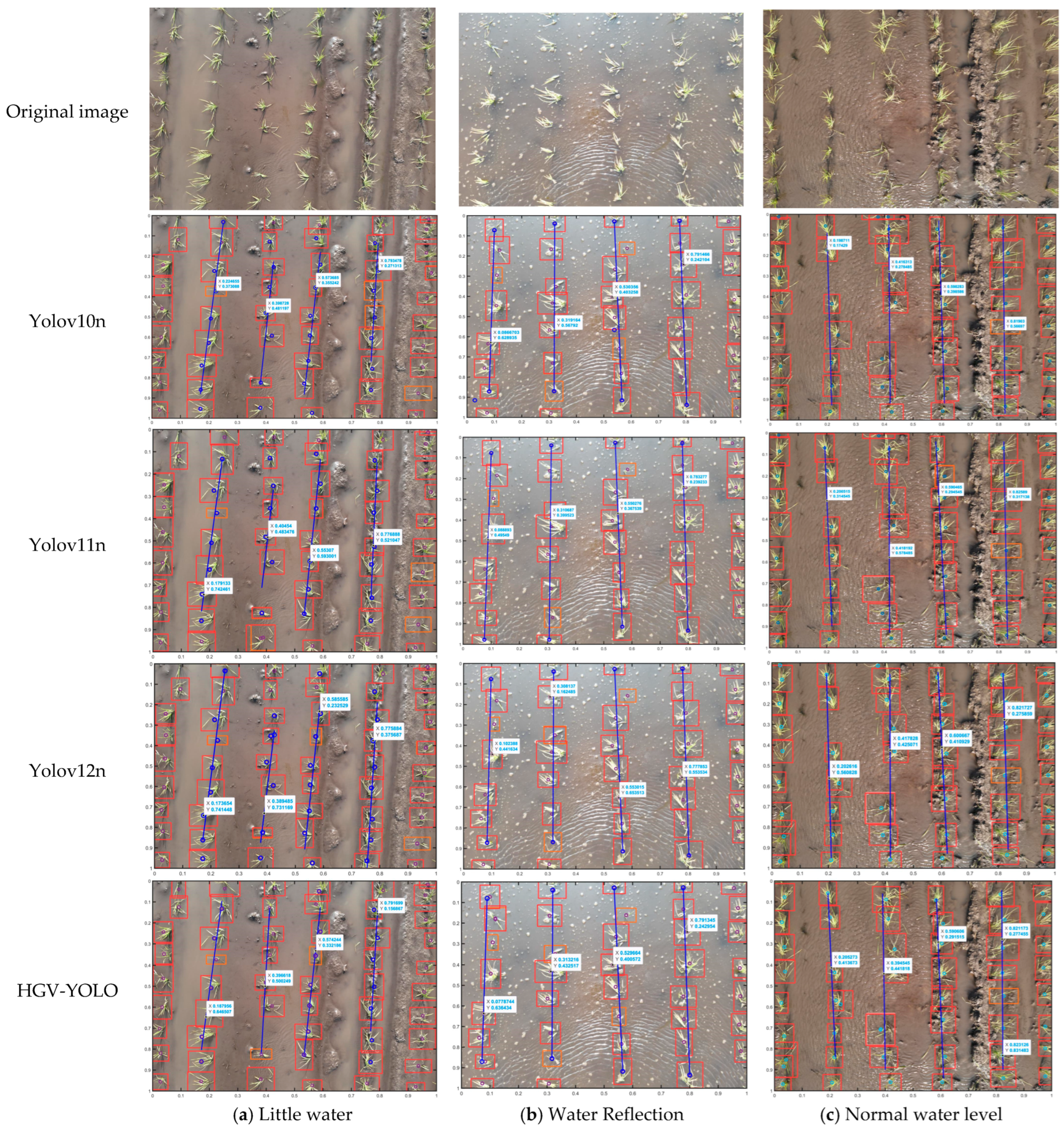 Agronomy 16 00678 g018 Agronomy 16 00678 g018