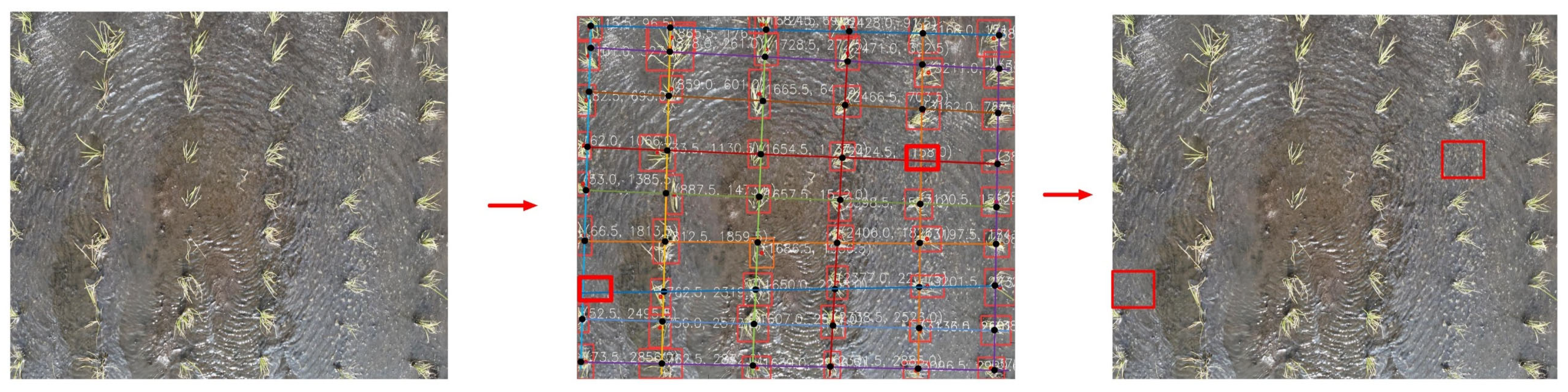 Agronomy 16 00678 g019 Agronomy 16 00678 g019