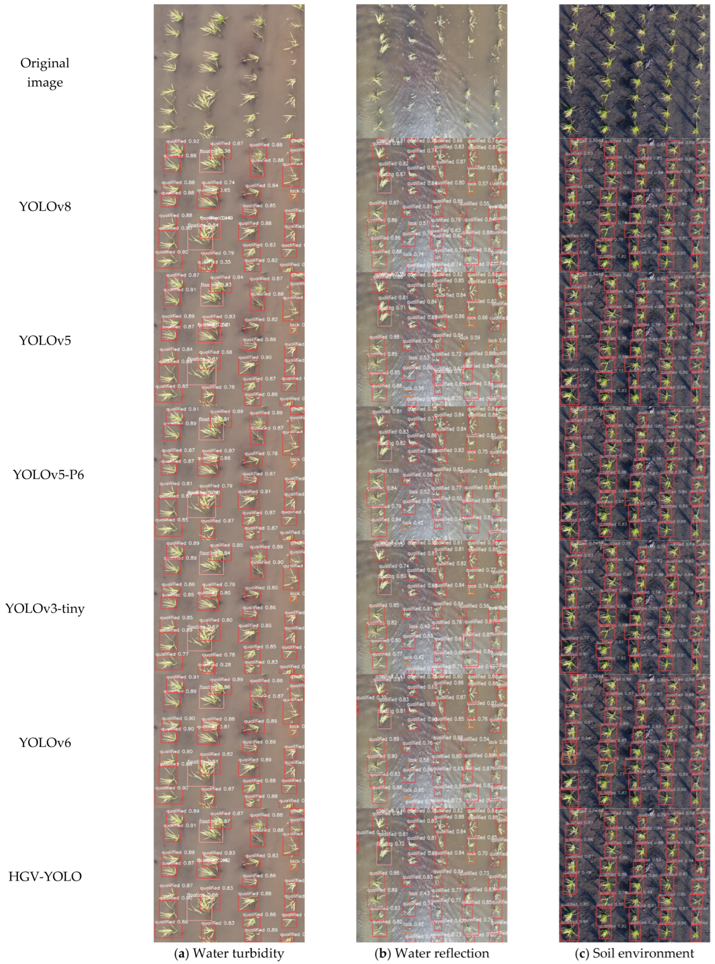 Agronomy 16 00678 g021 Agronomy 16 00678 g021