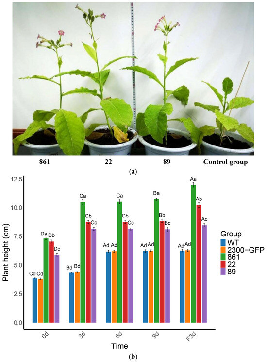 Agronomy 16 00707 g011a Agronomy 16 00707 g011a