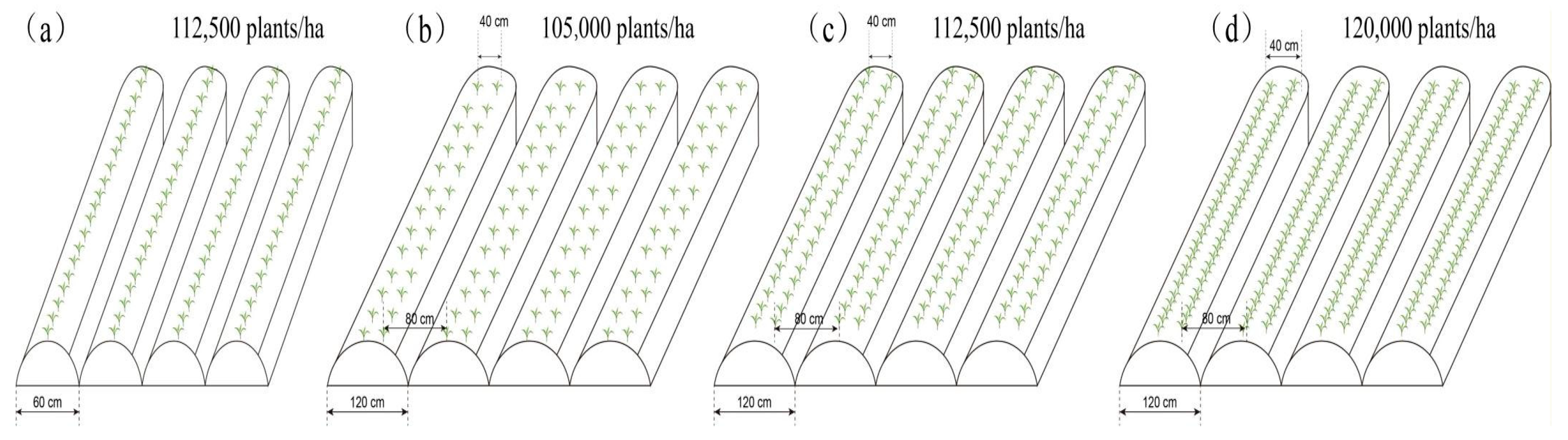 Agronomy 16 00798 g001 Agronomy 16 00798 g001