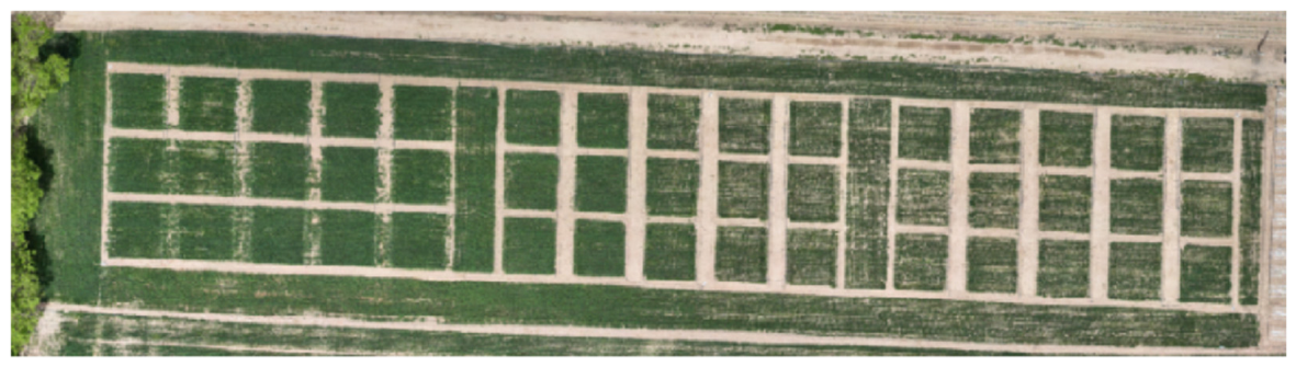 Agronomy 16 00845 g001 Agronomy 16 00845 g001