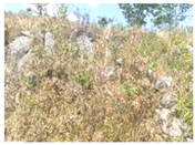 Agronomy 16 01026 i002 Agronomy 16 01026 i002