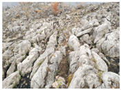 Agronomy 16 01026 i004 Agronomy 16 01026 i004